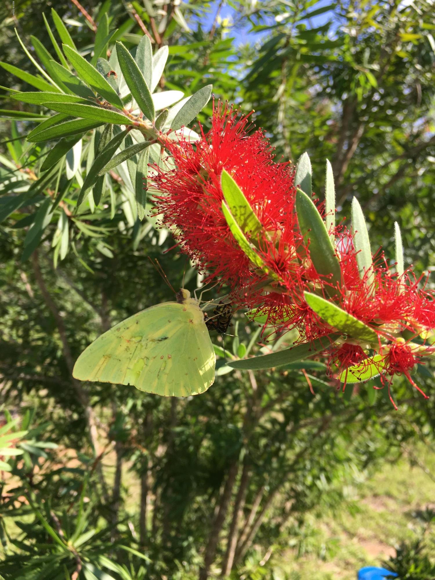 Compass Lake Hills Unit 5 - Residential