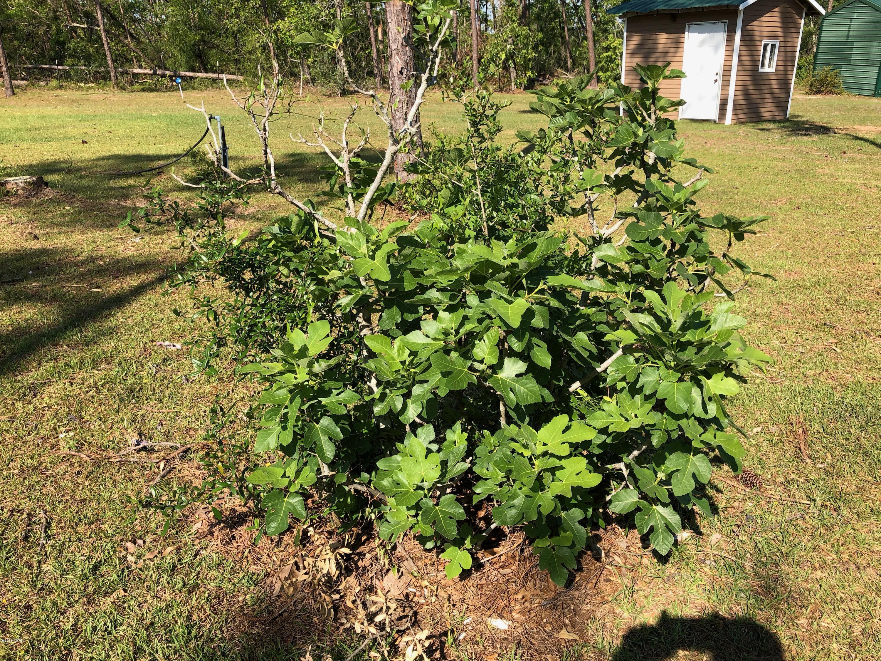 Compass Lake Hills Unit 5 - Residential