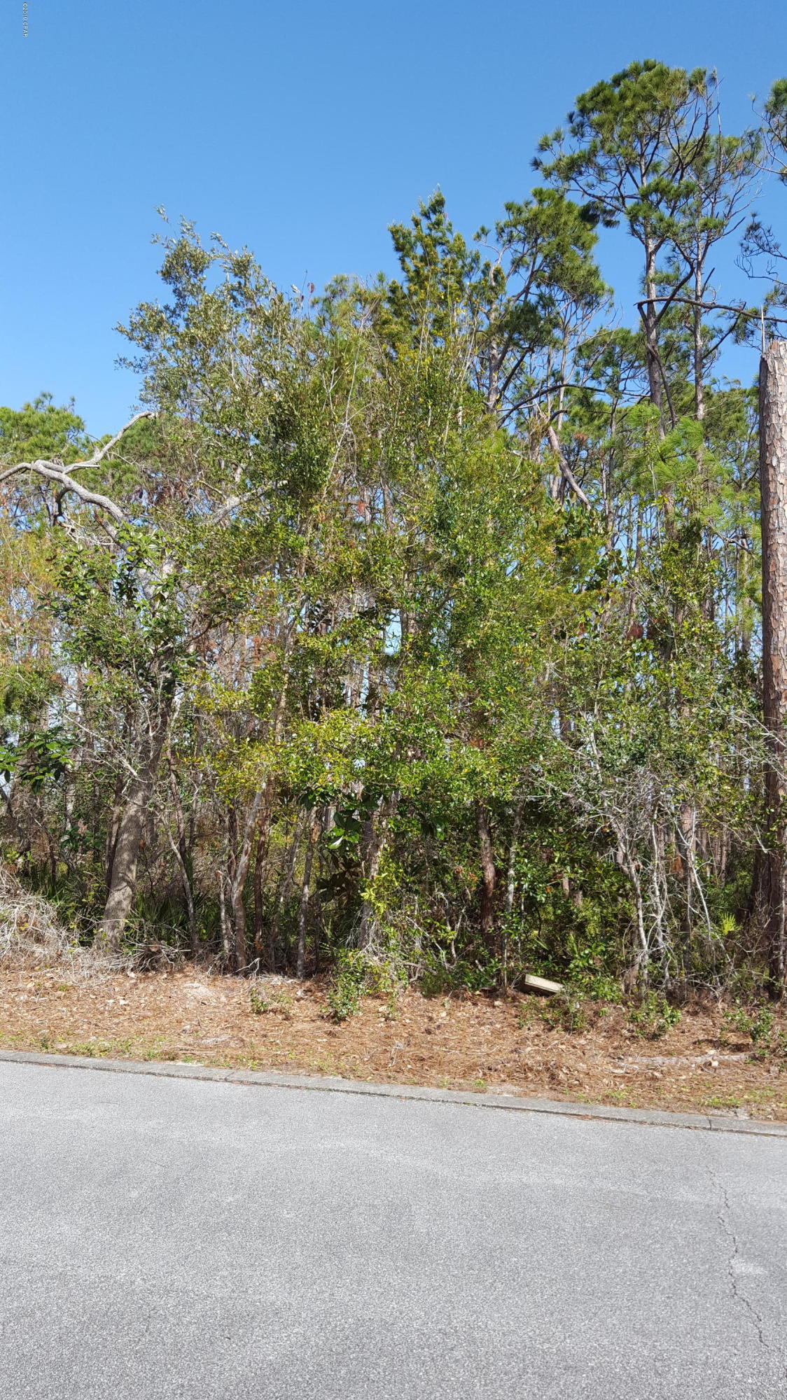 Sanctuary Beach - Land