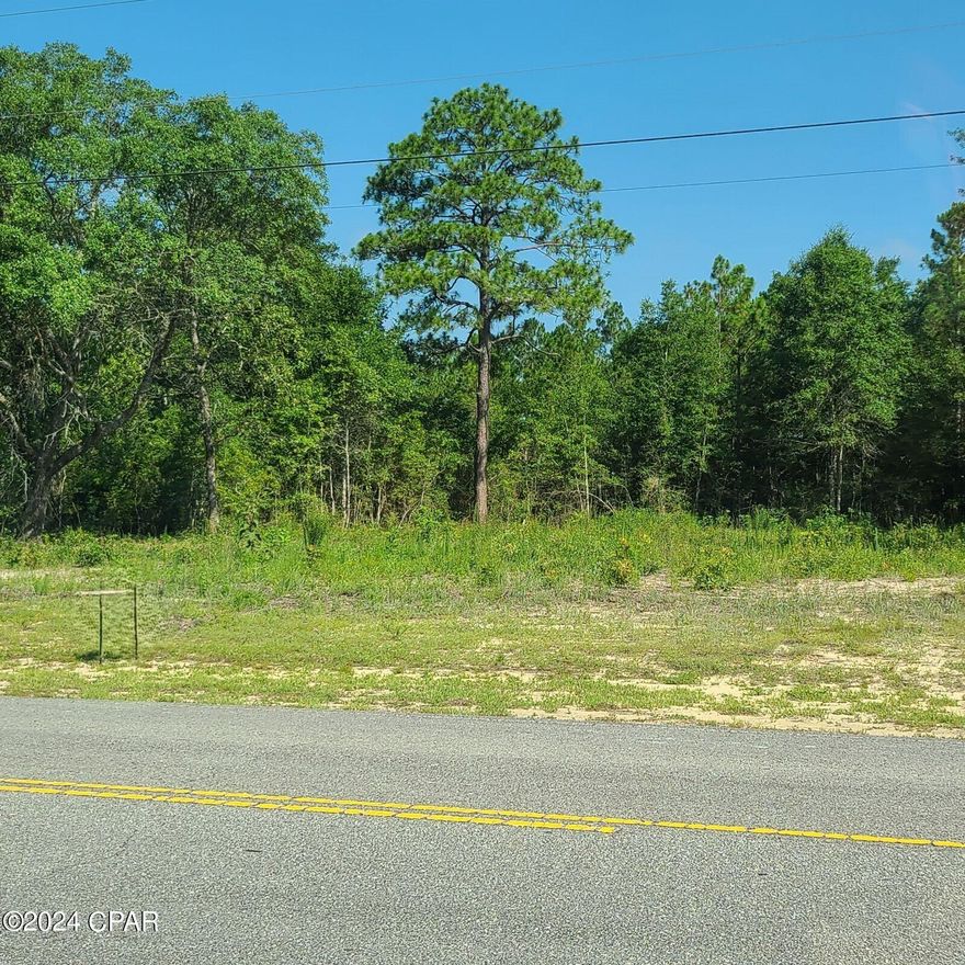 Sunny Hills Residential Lot on Golf Course. Lot is cleared, on the golf course, surveyed and Seller has a set of preapproved plans from the Sunny Hill's Civic Association. Sunny Hills Community is one of the largest platted subdivisions located in Washington County, Florida's Northwest region just north of Bay County. Check out this residential lot right on the golf course. The Sunny Hills Golf Course is a public course that is a diamond in the rough and was designed by Gene Sarazen and Ken Venturi. This home site can be yours to purchase and plan your future home or purchase with a home concept ready to build. The seller has researched and has plans that could be purchased with your new homesite to begin your new home journey. Come out to see today.
