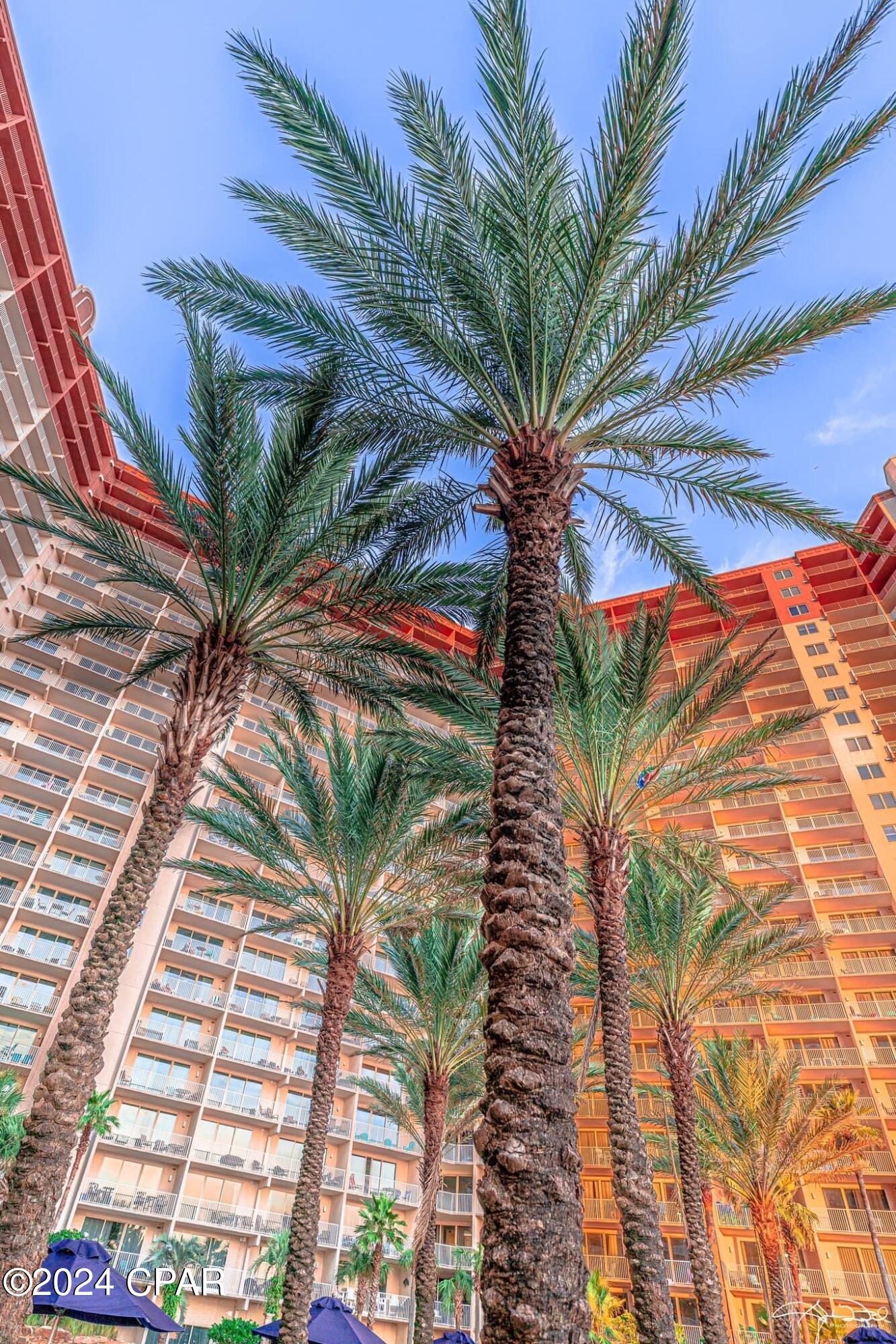 Shores Of Panama Phase II - Residential