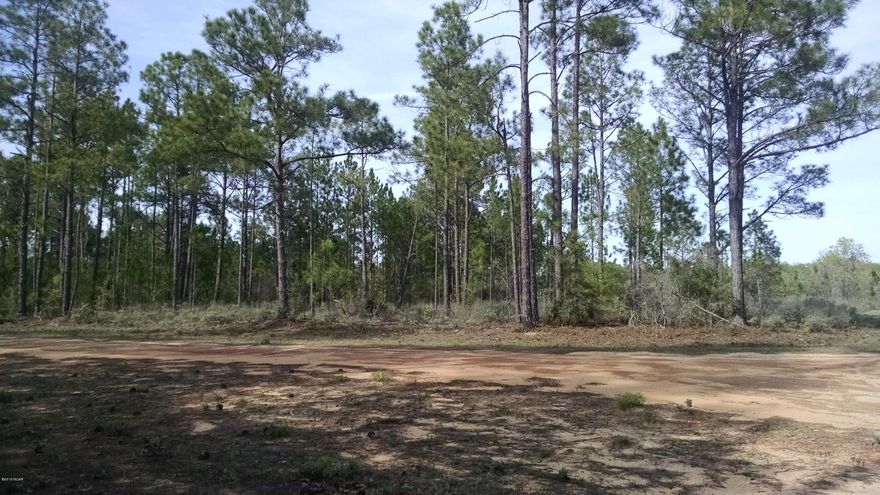 VACANT LOT IN COMPASS LAKE IN THE HILLS!! Located on the Marianna side of Subdivision. Corner lot just off the paved road!  Build your dream home here!! Located just 45 minutes North of Panama City and the Worlds most Beautiful Beaches!! Being a property owner here gives you access to Compass Lake and McCormick Lake! Plus all the amenites such as, fishing, swimming, canoeing, kayaking, etc. The main Lodge on Compass Lake offers all the clubhouse facilities such as a swimming pool, tennis courts, & horseback riding.