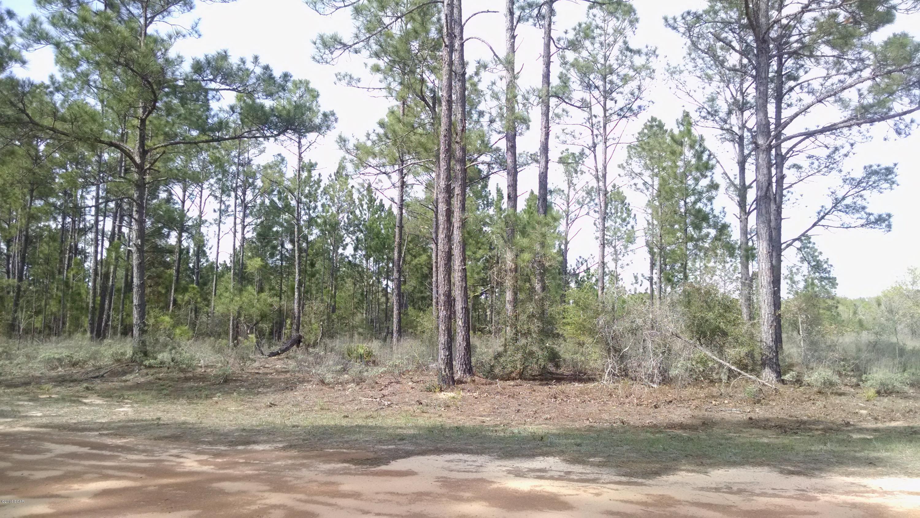 Compass Lake In The Hills - Land