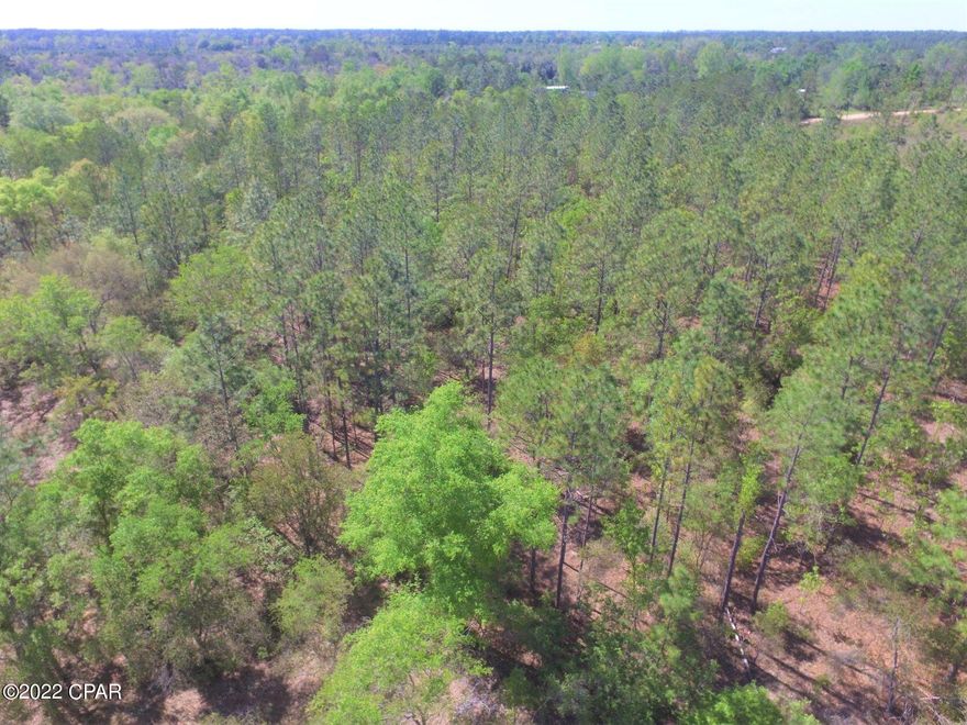 Want some great hunting land or a place for a camp that's only 30 miles from Tallahassee, this is it!  Beautiful land with plenty of trees and some food plots for deer make this a ready to go site.