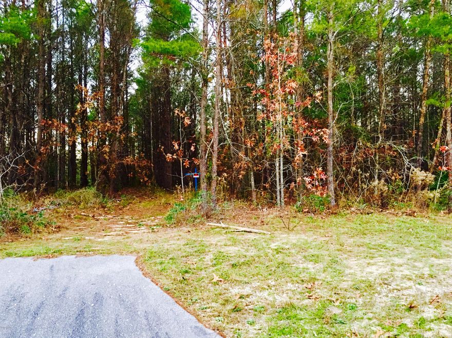 Nicely wooded parcel near Deane Bozeman School -- a sought-after school zone for grades K-12. Owner states that the parcel has had a mobile home and has a septic tank and well.  The widest part of the lot is White Western Lake Ln which is accessed by White Western Springs Rd and is in an area of paved roads and nice homes.