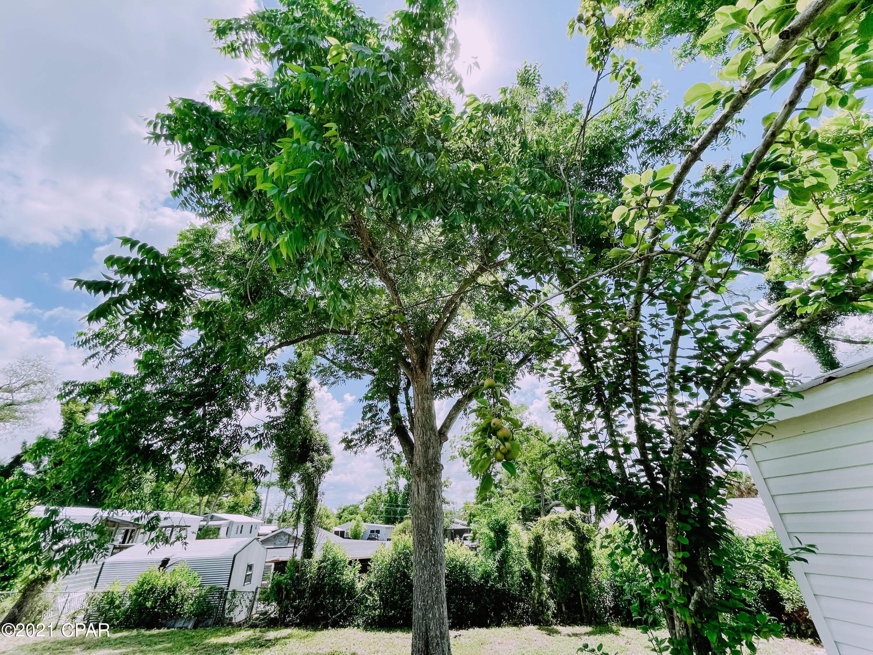 East Springfield - Residential