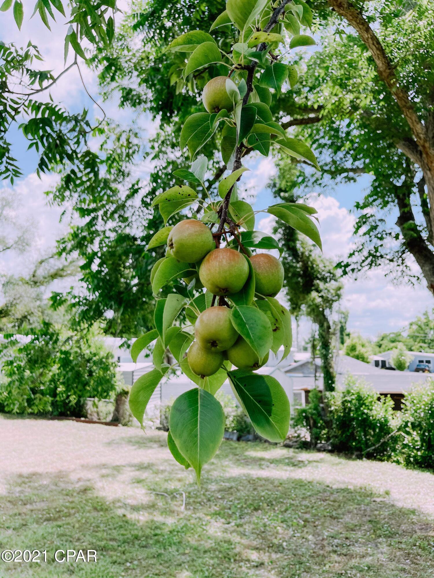 East Springfield - Residential