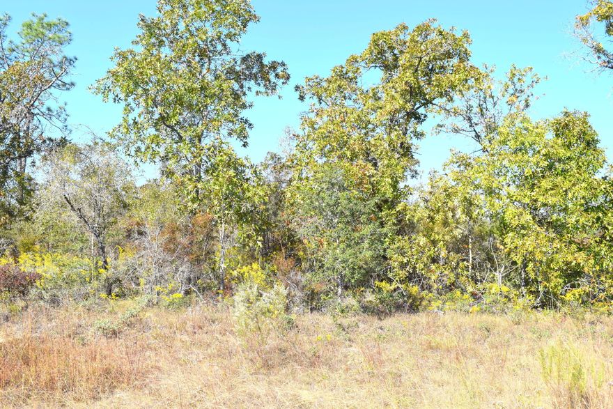 Nice building lot in Sunny Hills. Lot is mostly wooded. Sunny Hills is a deed restricted subdivision for homes only, no mobile homes. Not far from golf course, Boat Lake and fishing.  Approx 30 miles from Panama City Beach, Pier Park shopping and NW Florida Beaches International Airport. Seller also owns 7 other lots in Sunny Hills and will sell all 8 for $20,000.