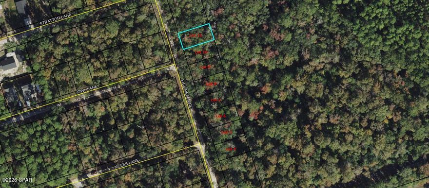 Vacant lot available on Fig Tree Ln in Crawfordville. Great opportunity for builders or investors in a growing area. Convenient and peaceful location just a short drive to the coast. Note: This listing is for one lot. A total of eight adjoining lots are available for purchase.

Buyer to verify all measurements, lot dimensions, and any information deemed important.