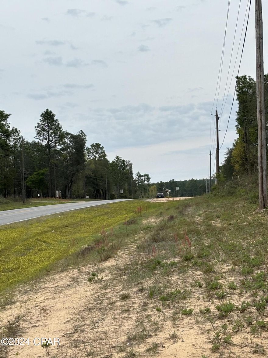Beautiful area in Washington County about 25 mins from Lynn Haven traveling on newly four lane Hwy 77. Payne Lake is a small but beautiful lake full of fish. Perfect lot for new home or new Mobile Home.  Lot next to this one is also available for sale.