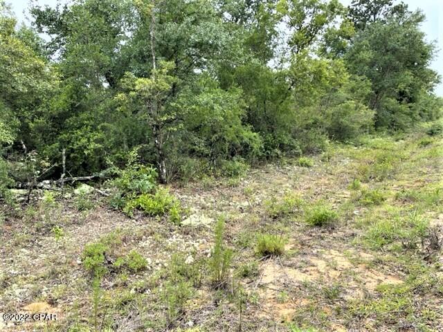 Compass Lake Hills Unit 6 - Land