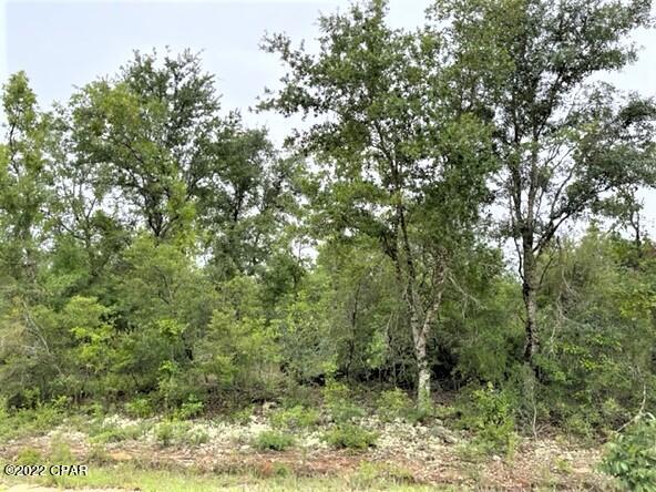 Compass Lake Hills Unit 6 - Land