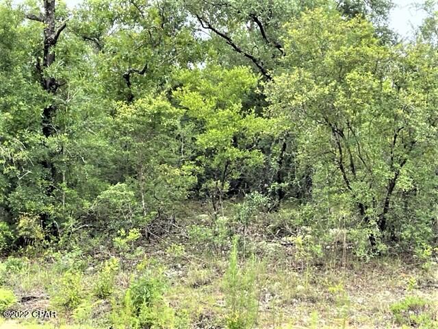 Compass Lake Hills Unit 6 - Land