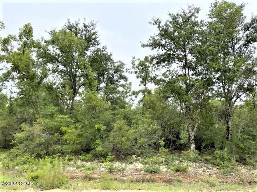 Absolutely beautiful wooded residential lot in lovely Compass Lake in the Hills.  Lot appears to be high and dry with some very pretty trees.  Location is not far from the lodge.  Enjoy the peace and quiet on this nice street.  Lots of wildlife, birds and butterflies to enjoy.   You have easy access to the south to Panama City on the coast and north to Marianna for shopping.