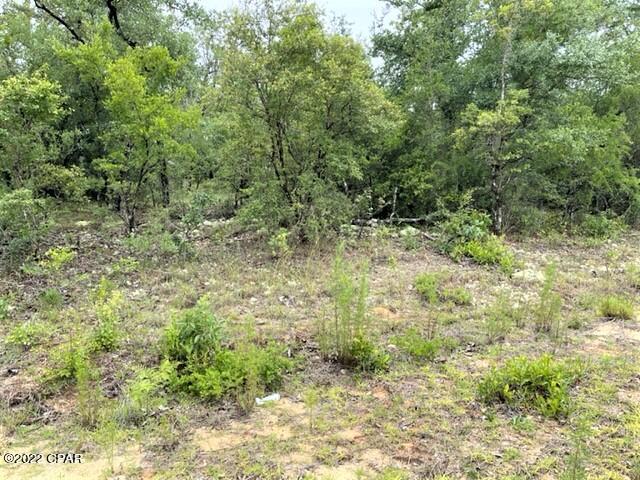 Compass Lake Hills Unit 6 - Land