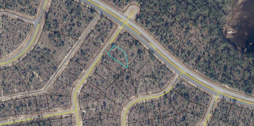 Great building lot in the Sunny Hills subdivision. Located 25 miles north of Panama City and 18 miles south of Chipley. This community features a popular 18 hole public golf course, many fine fishing lakes, and of course, Boat Lake with it's white sand swimming beach. Great opportunity to invest in the future of the Florida Panhandle. Deed restricted to site built homes only. Buyer to pay Title insurance, Closing fee, and Doc Stamps on the Deed.