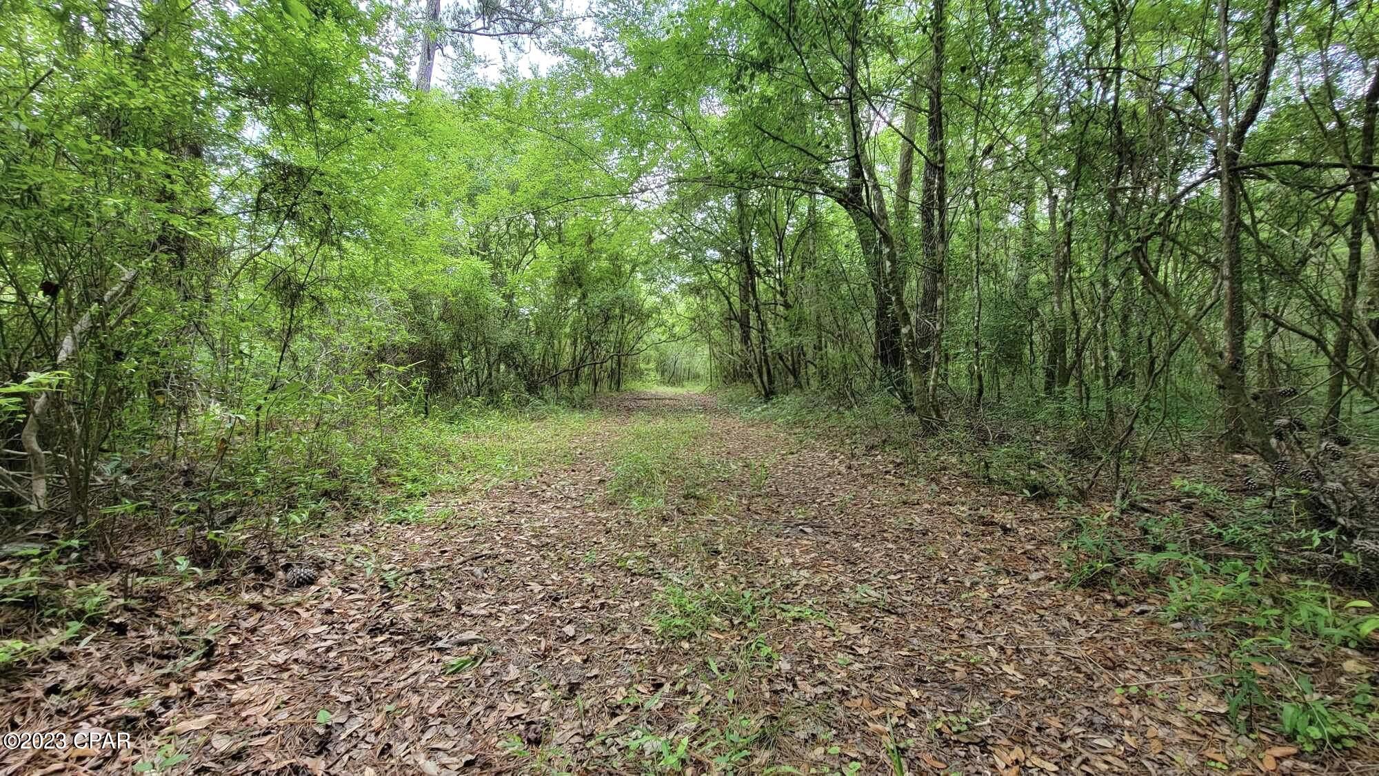 Bonifay - Residential