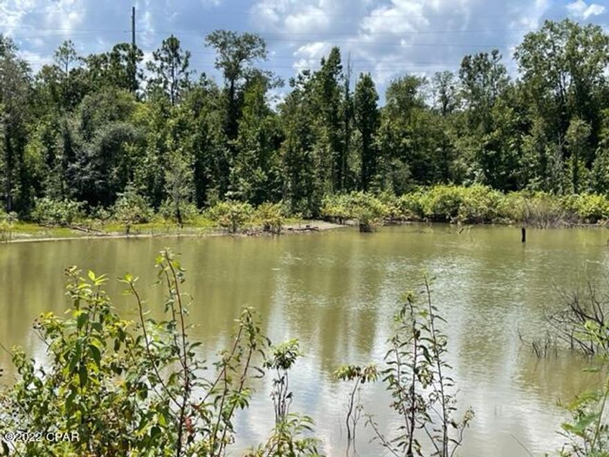 This wooded tract is just west of town.  It is a nice wooded parcel with various native trees and a pond on the property.  Has potential for homesite with no restrictions.  Stick built or mobile homes OK.   Would make a nice place for a hunting lodge as wild life abounds here.  Hunt, fish and enjoy!!