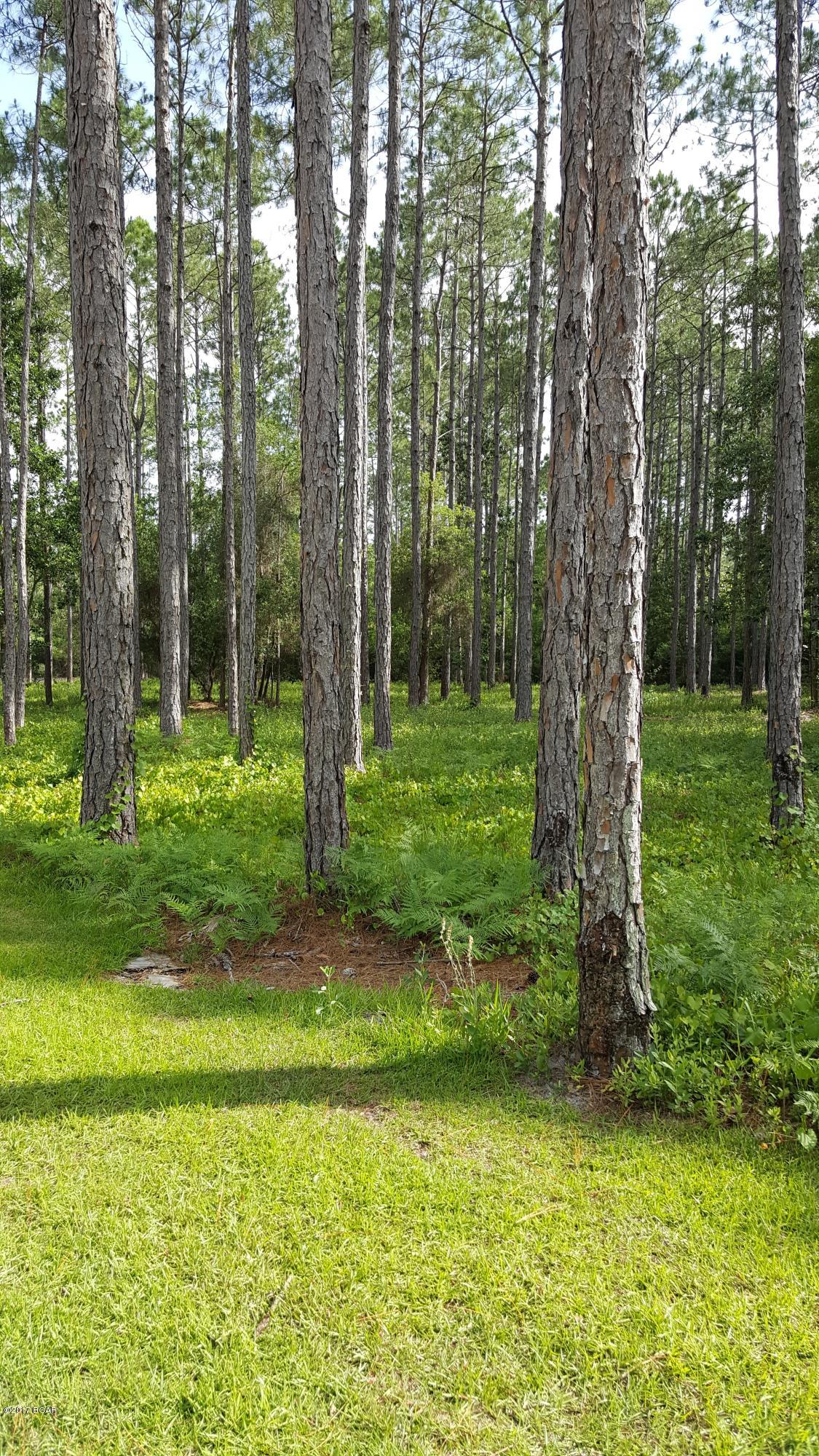 Rivercamps On Crooked Creek - Land