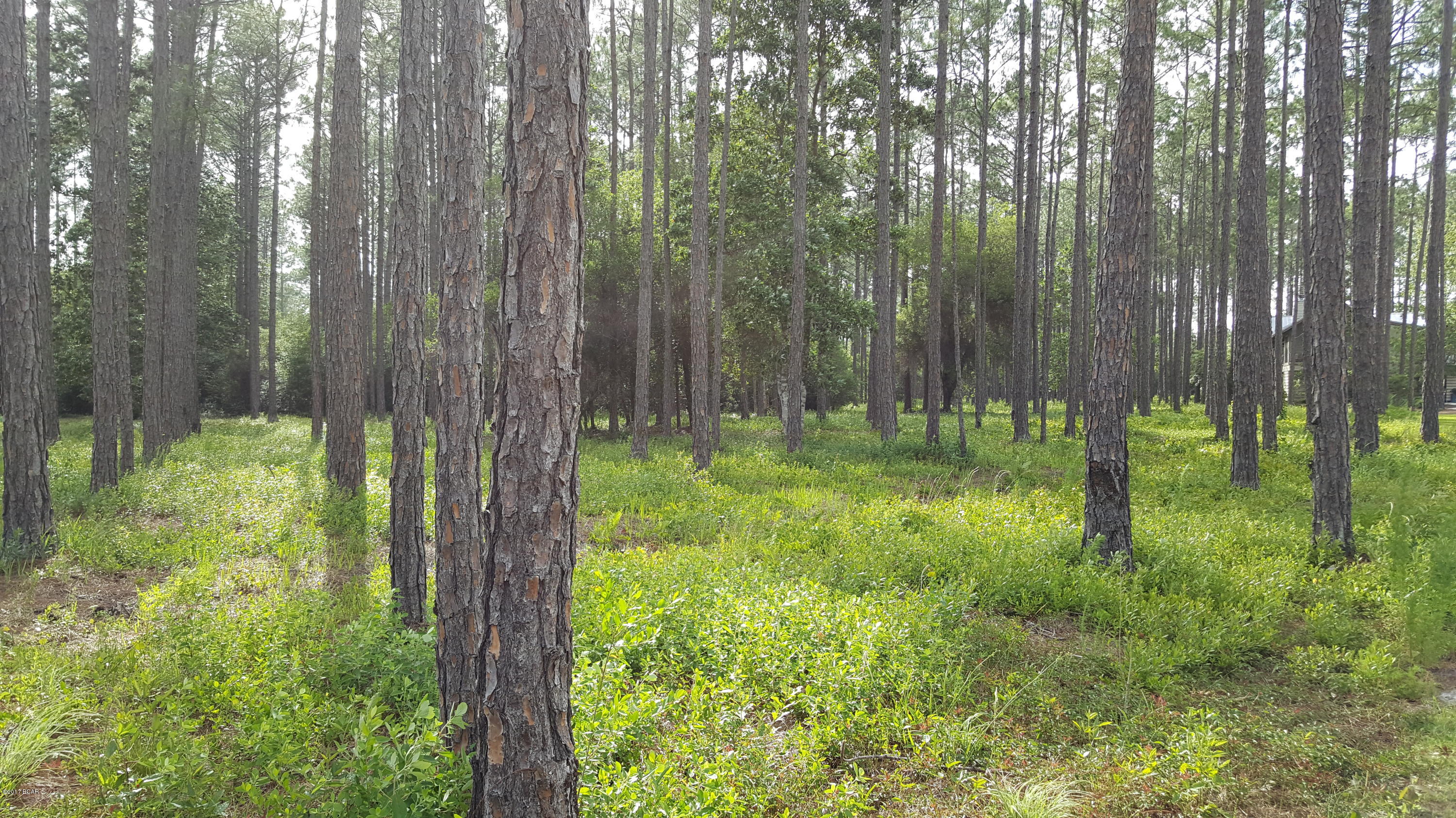 Rivercamps On Crooked Creek - Land