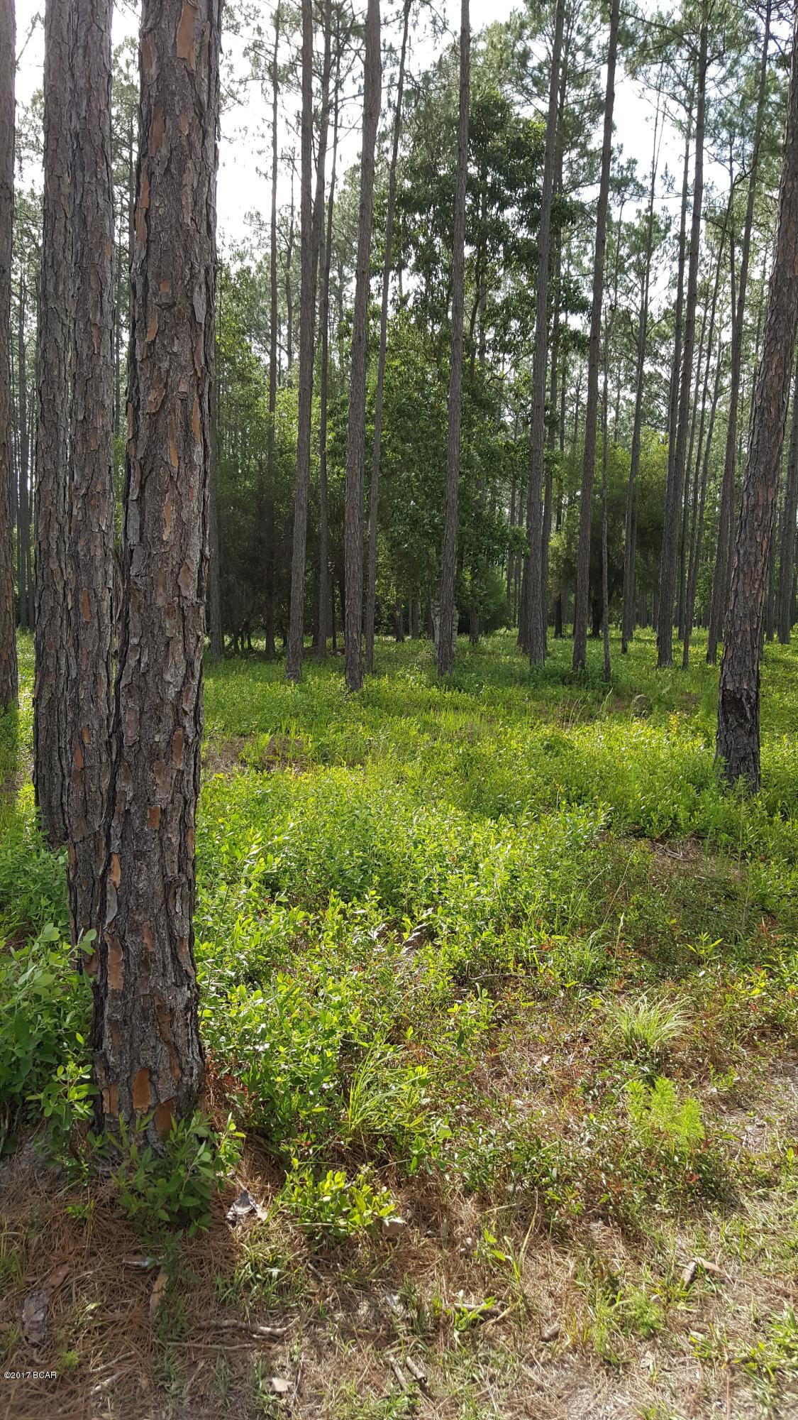Rivercamps On Crooked Creek - Land