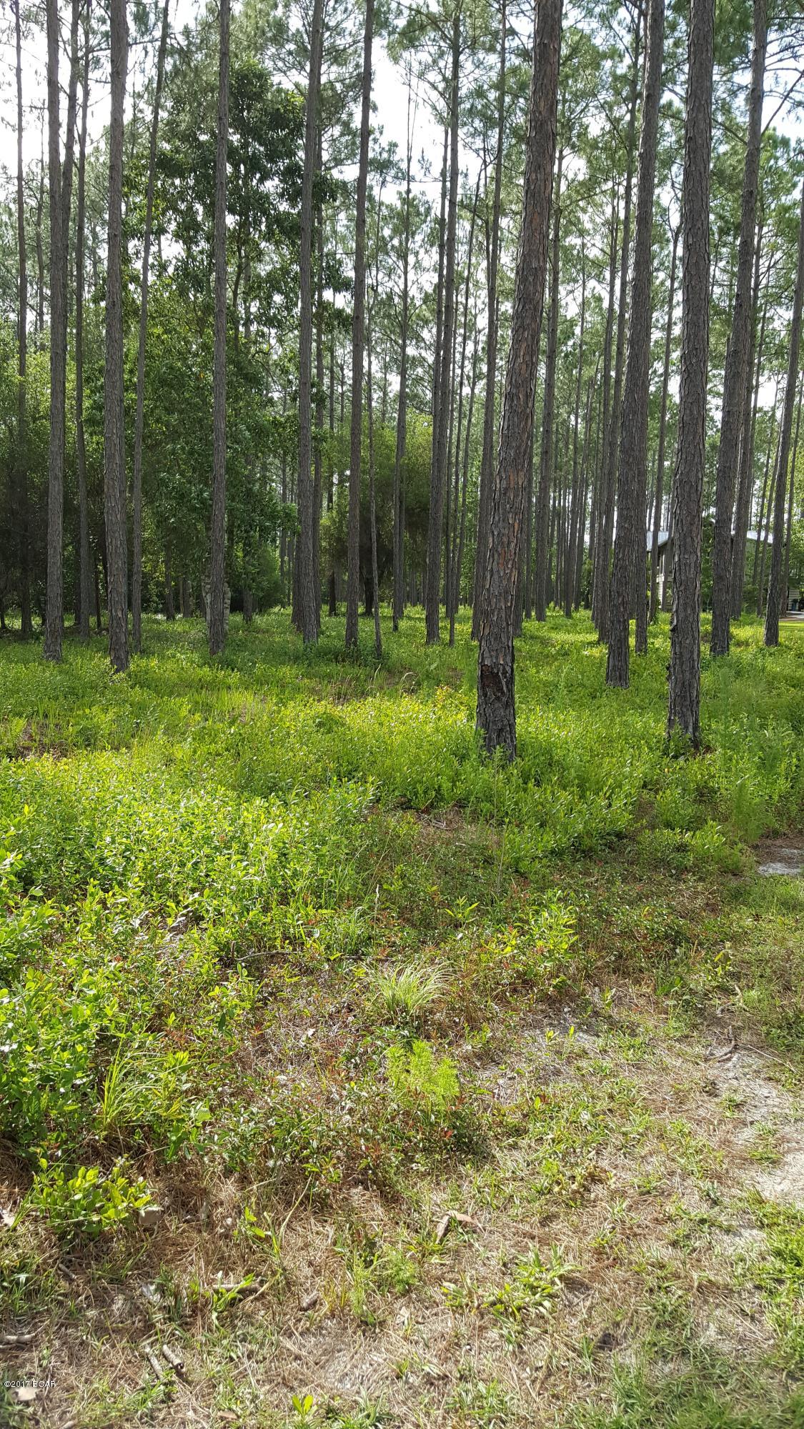 Rivercamps On Crooked Creek - Land