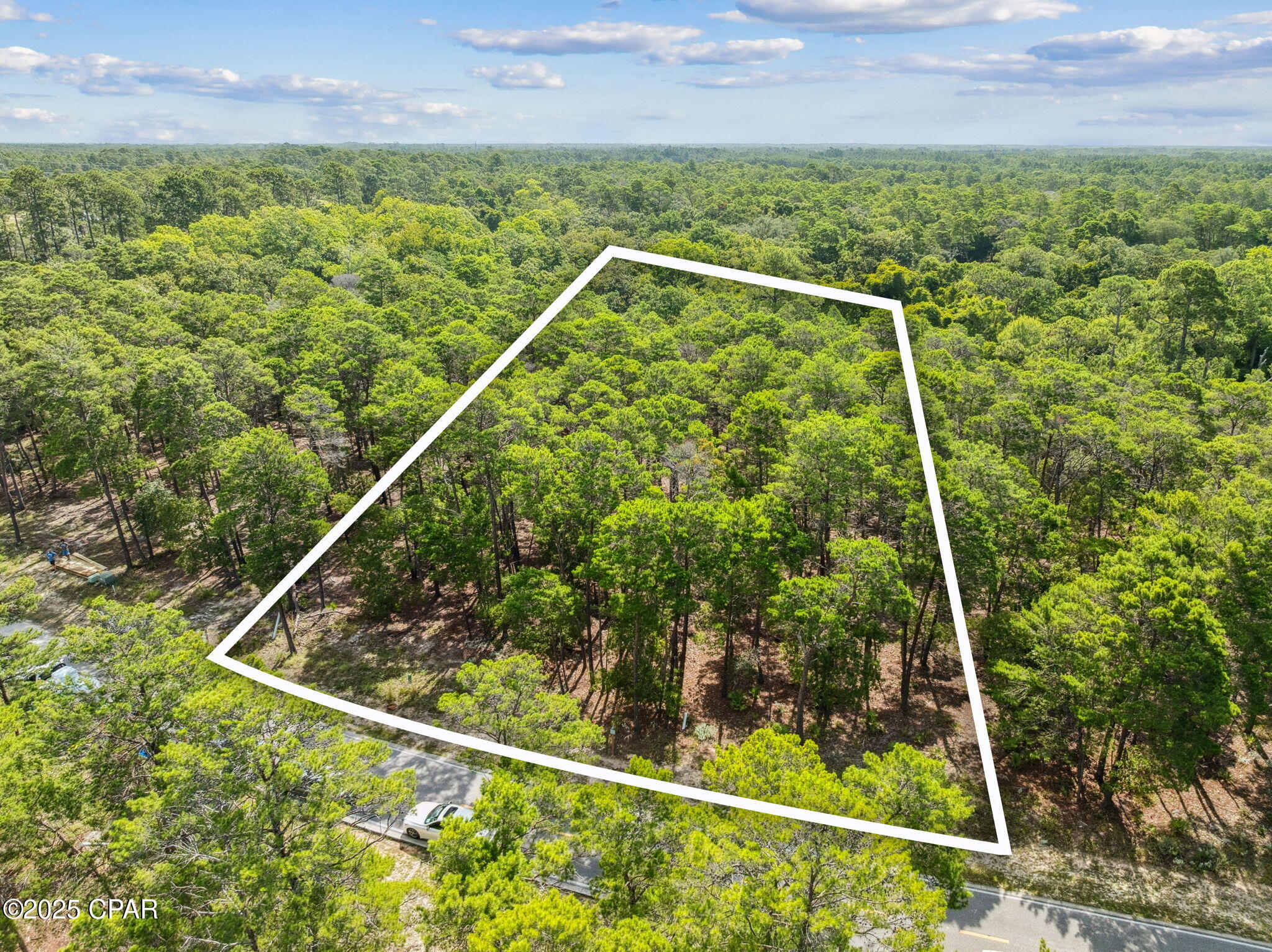 Wild Heron Phase VIII - Land