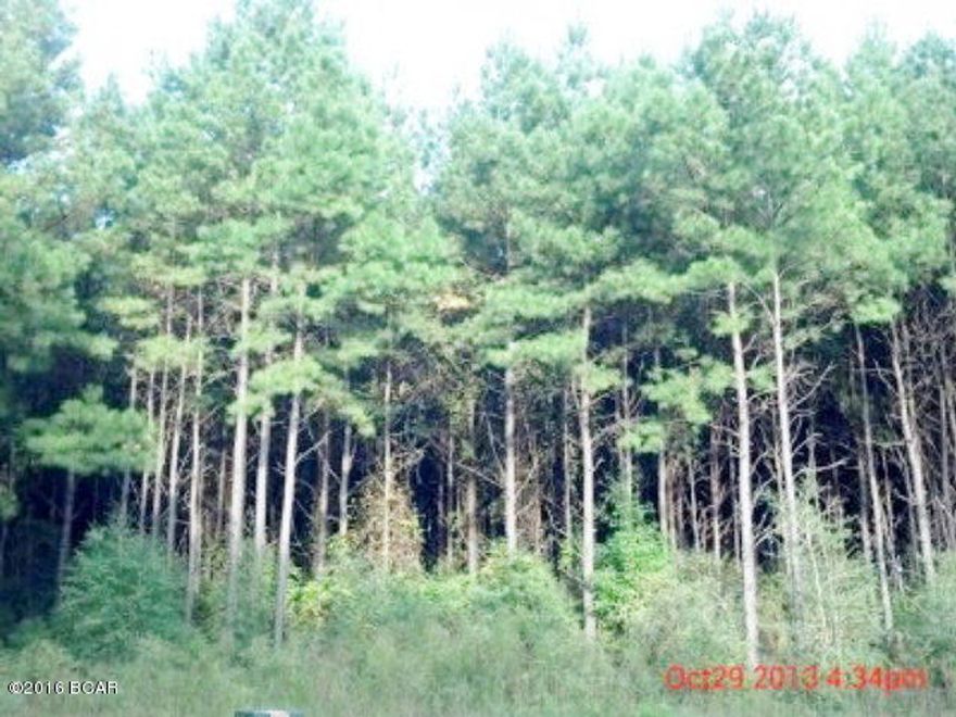 Over six acres for $15,000.00 !!! Perfect to build on. Live in the country and be the first to build in this development. Easy access to Highway 90 and Interstate 10. Some underground utilities installed. Nice trees and loaded with deer and turkey. Nature lover will enjoy the get-away-from-it-all feeling of this small gated community. Offers a playground and grill area with a pavilion - perfect for family gatherings.
