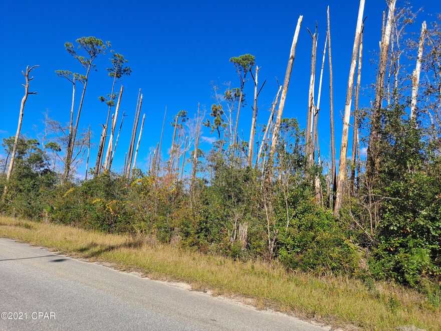 Looking for a little solitude, but still, be close to civilization. 5 minutes to Eastern Ship Building, 20 minutes to shopping and restaurants.  This 1.5-acre parcel is located on a paved road with 160 ft. of road frontage and is zoned R-1. This lot is ready for you to build your next home on.