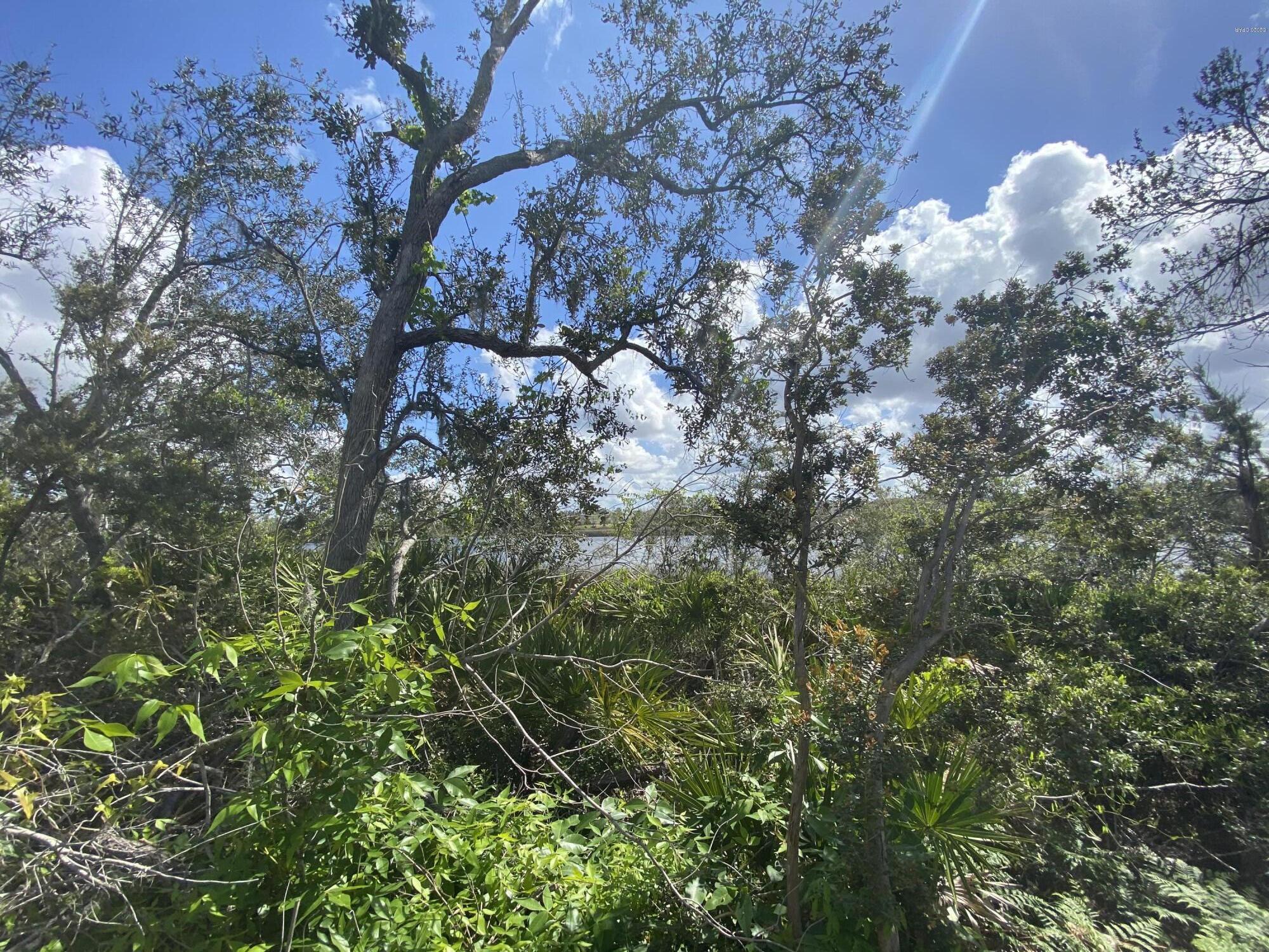 The Meadows & The Pointe - Land