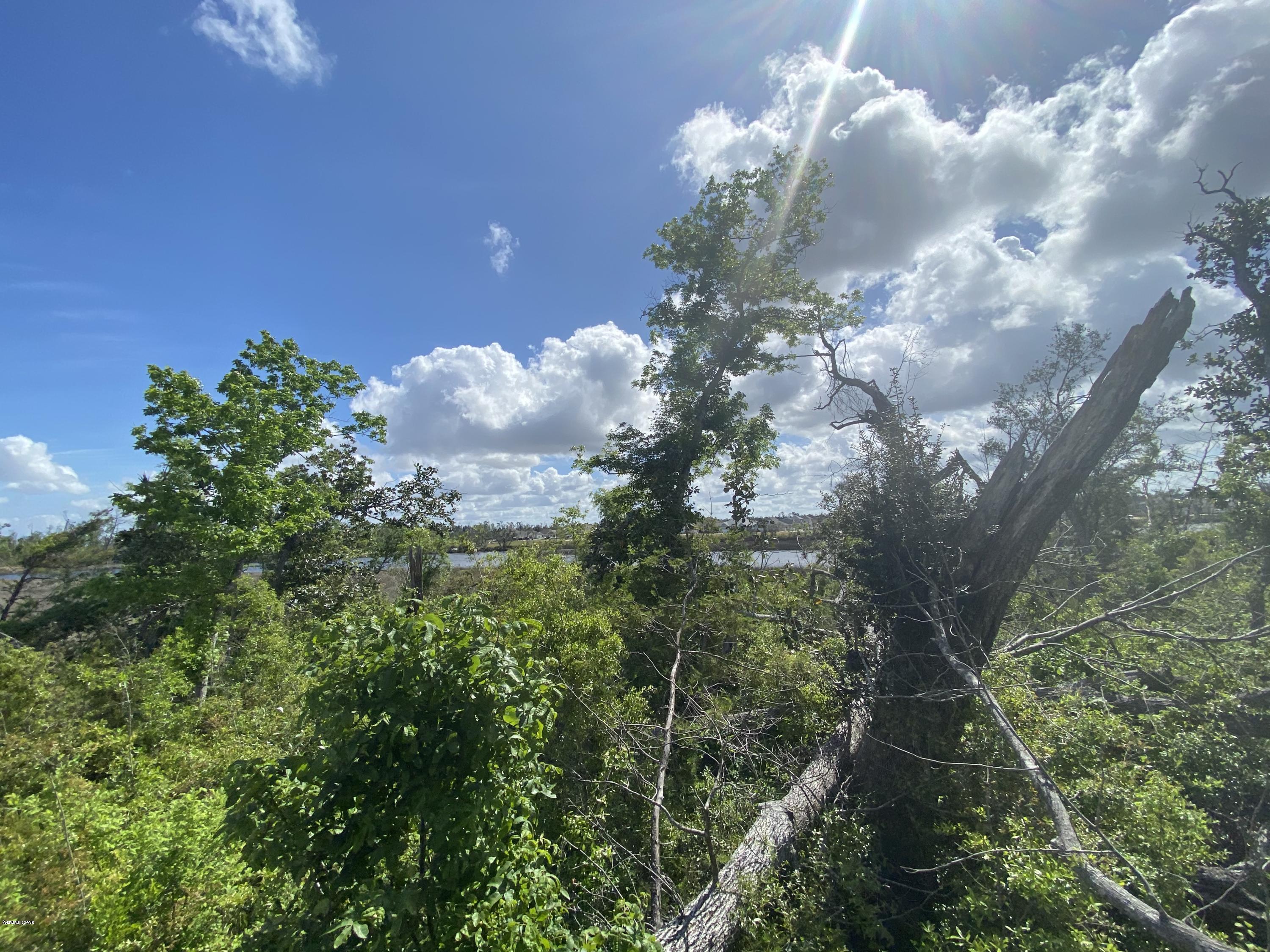 The Meadows & The Pointe - Land