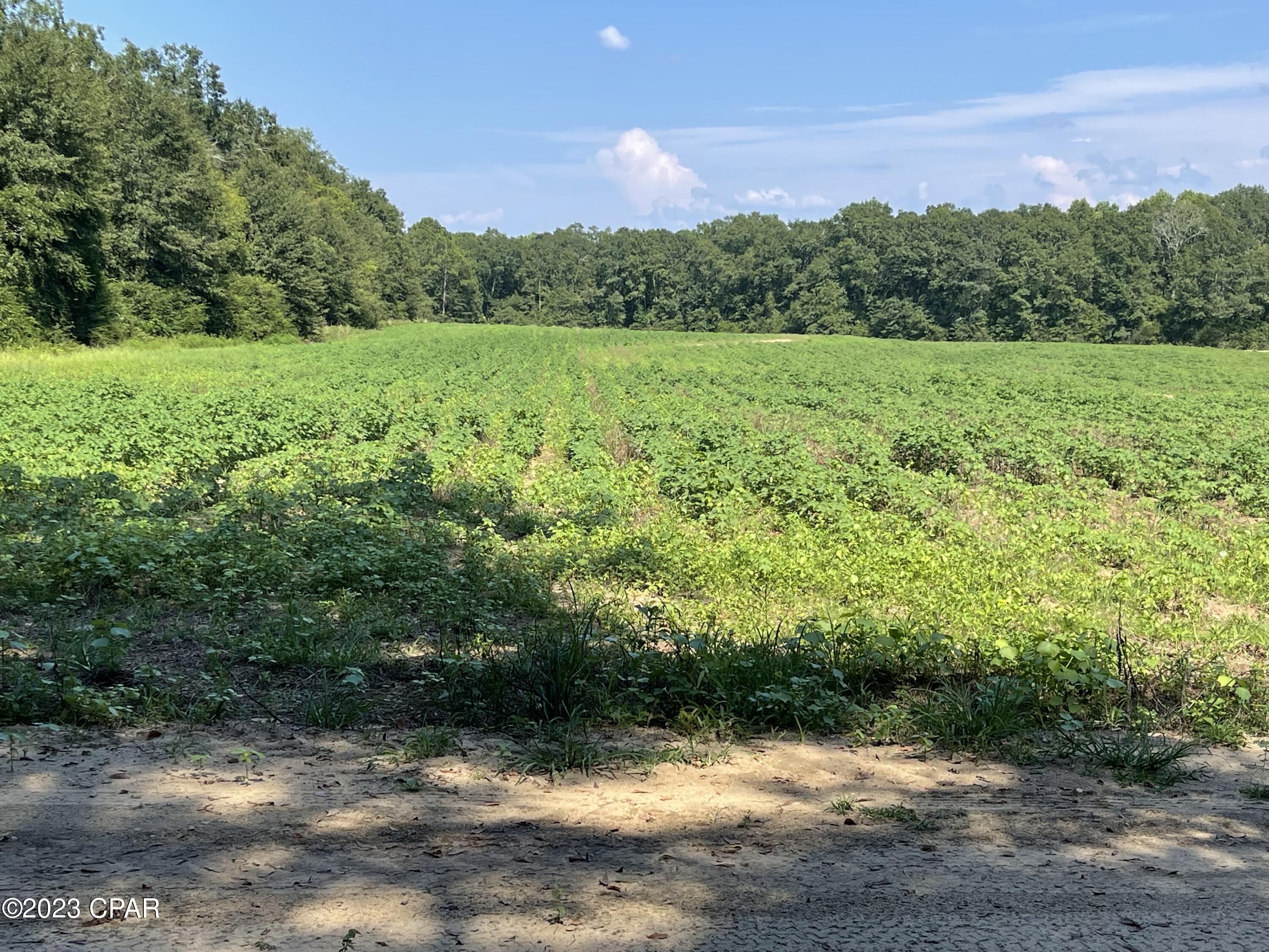 [No Recorded Subdiv] - Land