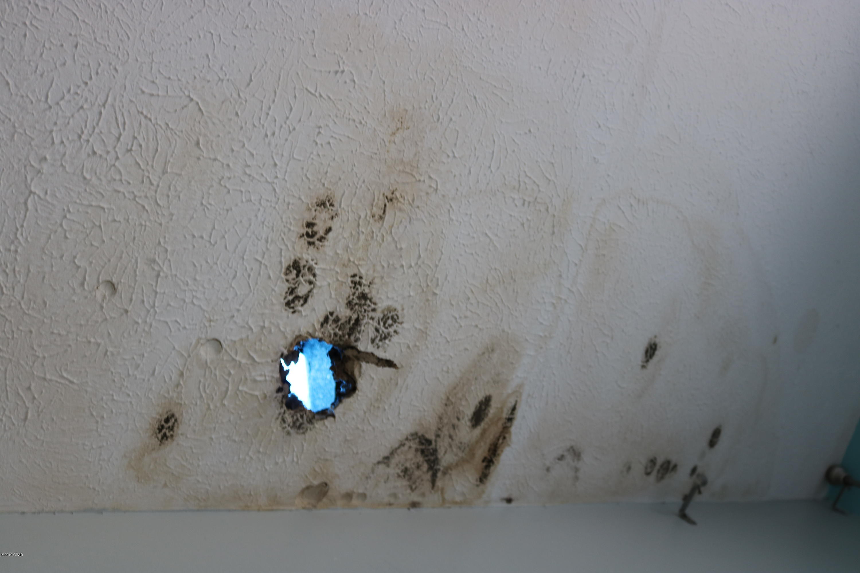 Caroline Add Unit 2 - Residential