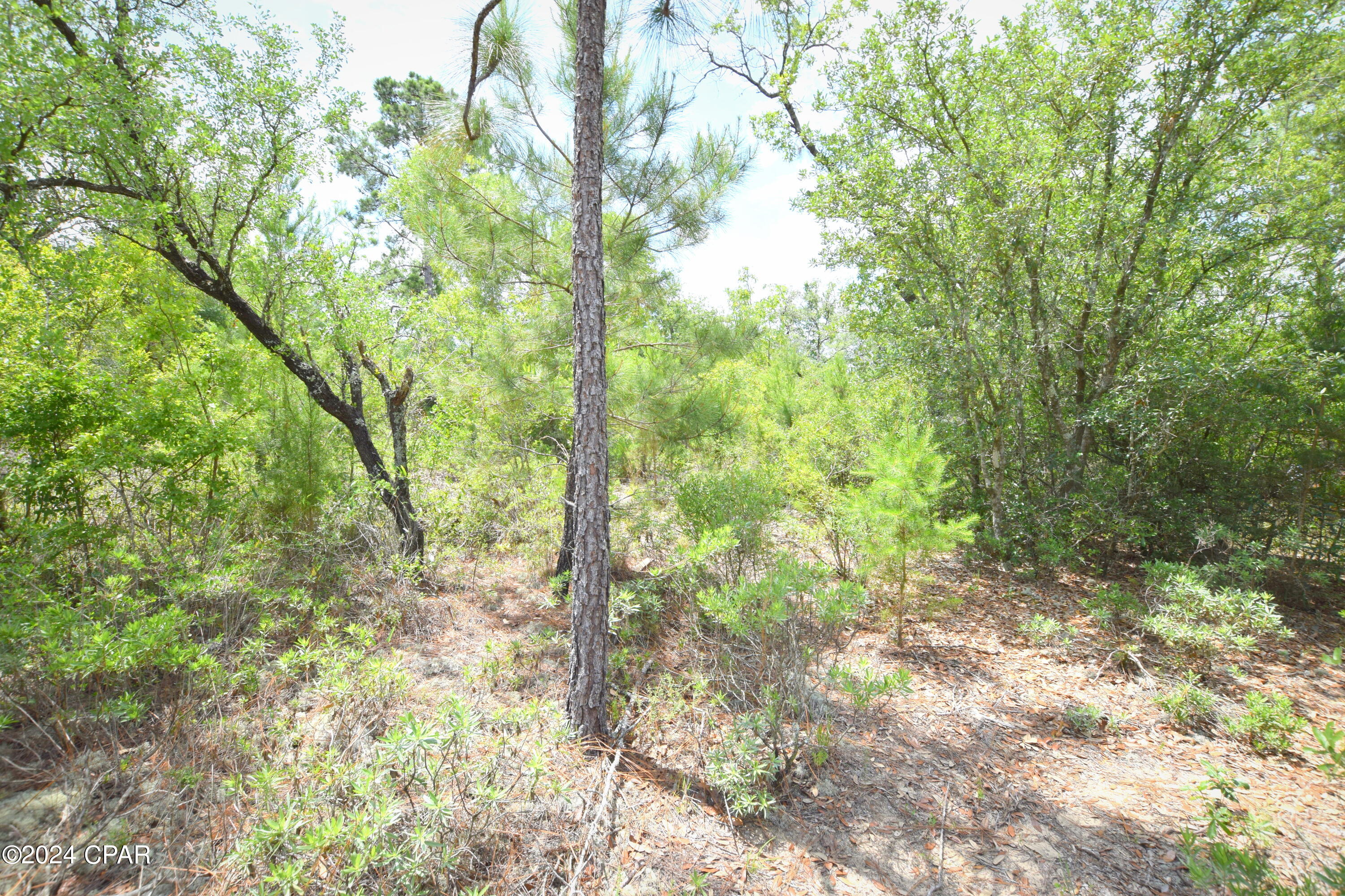 Sunny Hills Unit 11 - Land