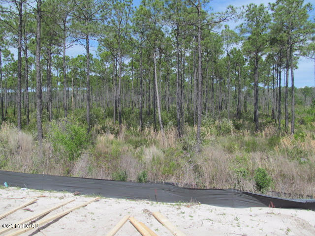 Breakfast Point - Residential