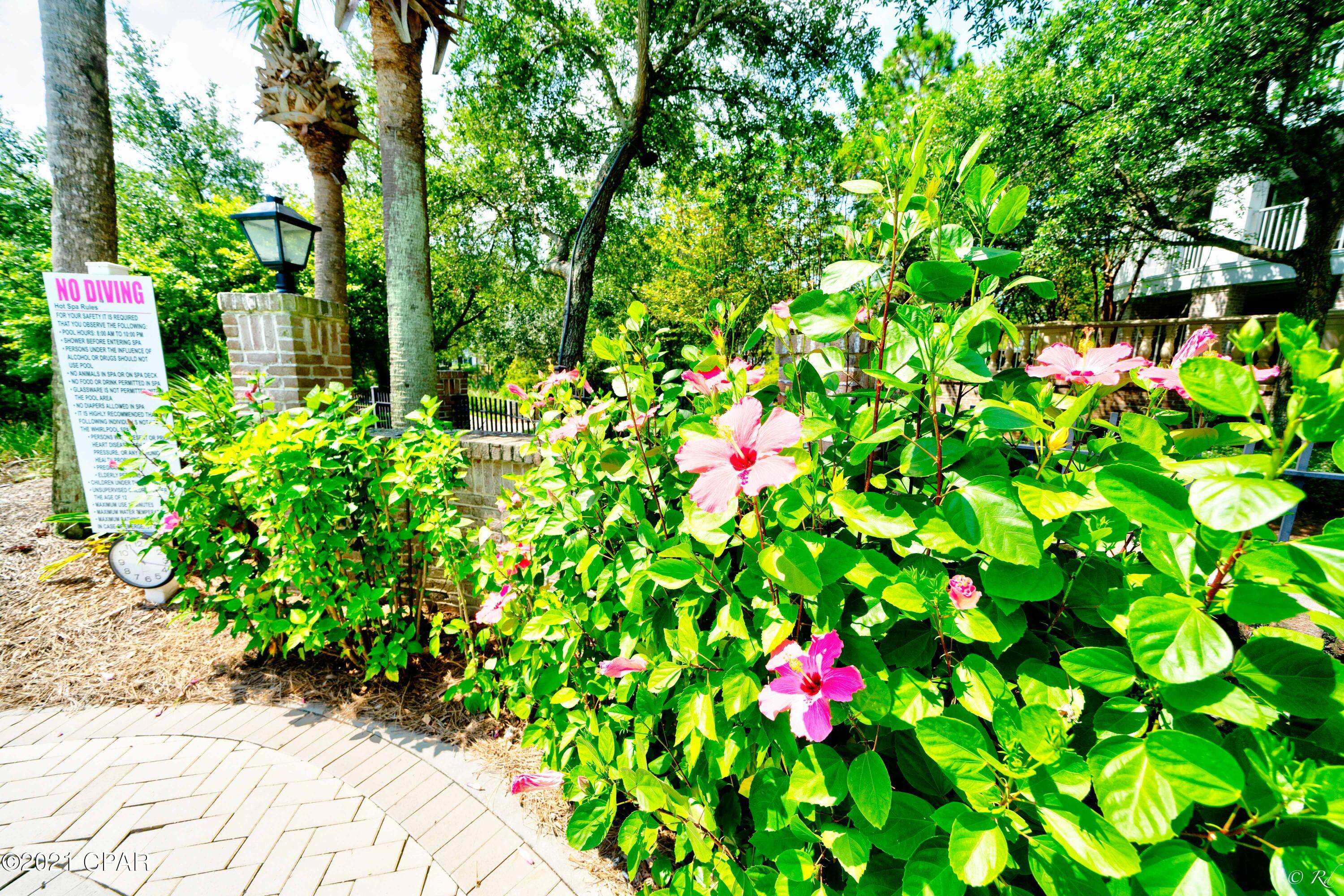 Elation - Residential