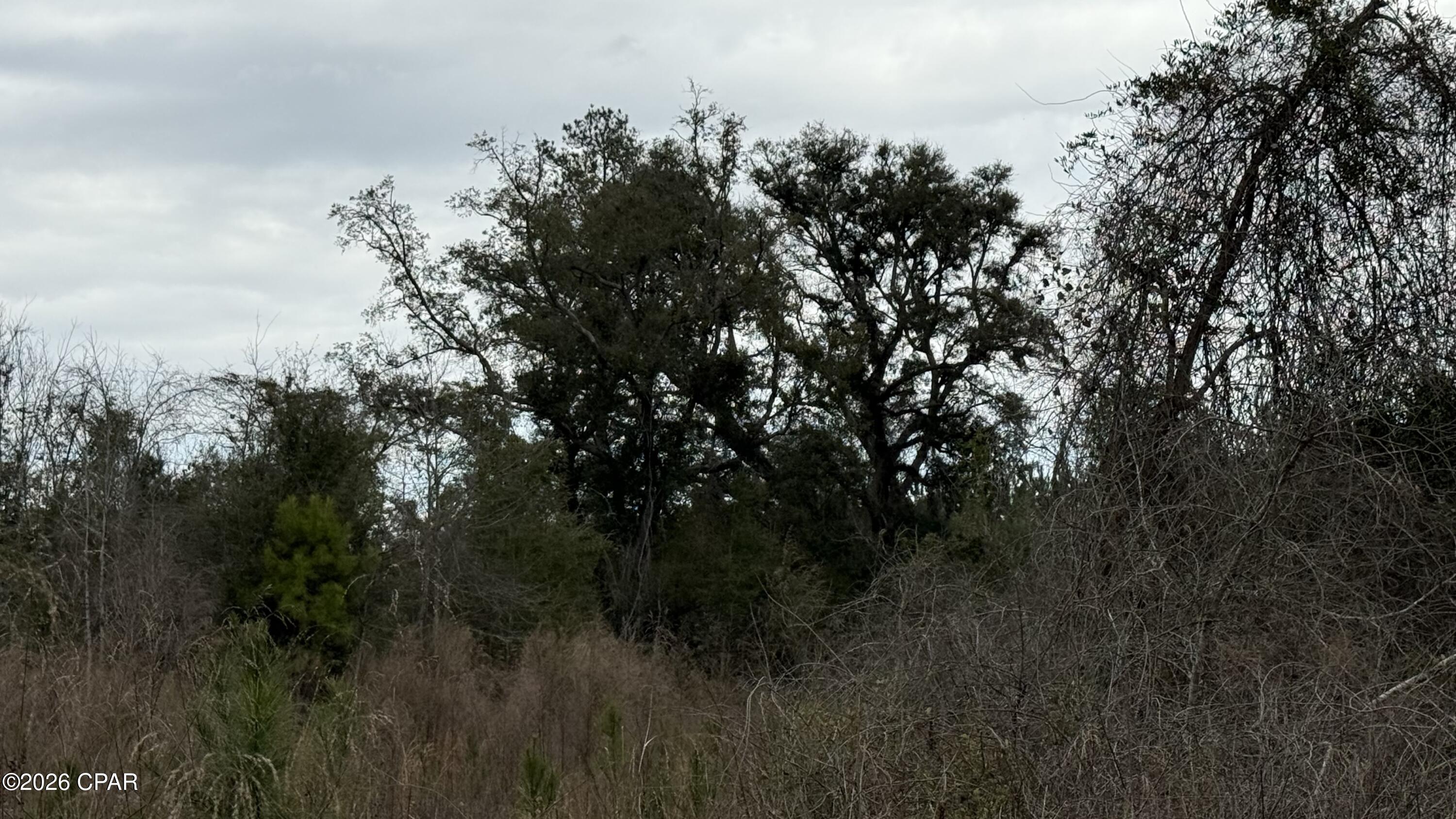 [No Recorded Subdiv] - Land