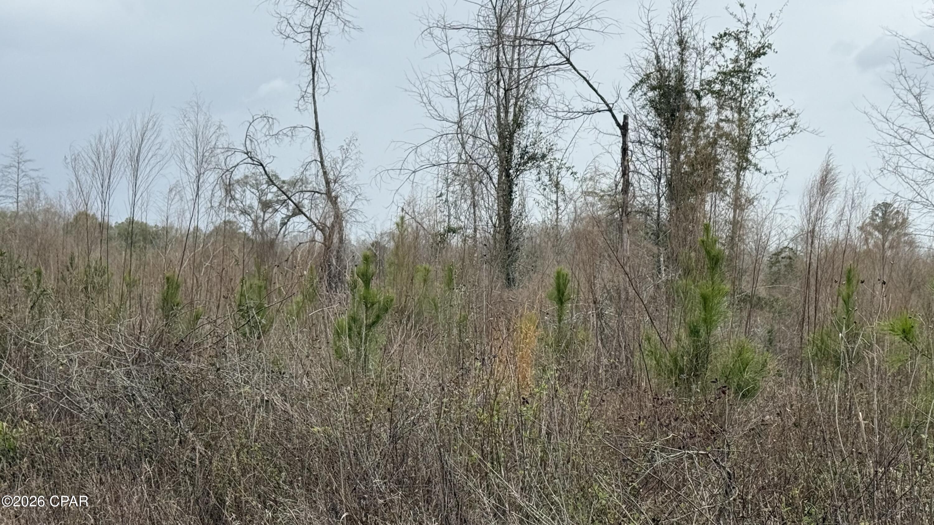 [No Recorded Subdiv] - Land