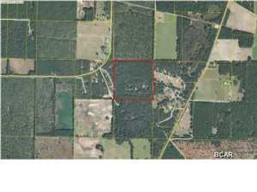 AWESOME opportunity to own 40 acres in Northwest Florida. This versatile acreage can be whatever you want it to be. An awesome homestead, a private retreat, a hunting lease. The possibilities are endless. You can sell the timber or leave the natural beauty. This 40 acre parcel can be your investment or your retirement. Save an untouched piece of history for your grandchildren as they walk around picking up arrowheads and learning how the Chacato, Creek, & Seminole Indians lived. This 40 acres can be all yours by calling today.