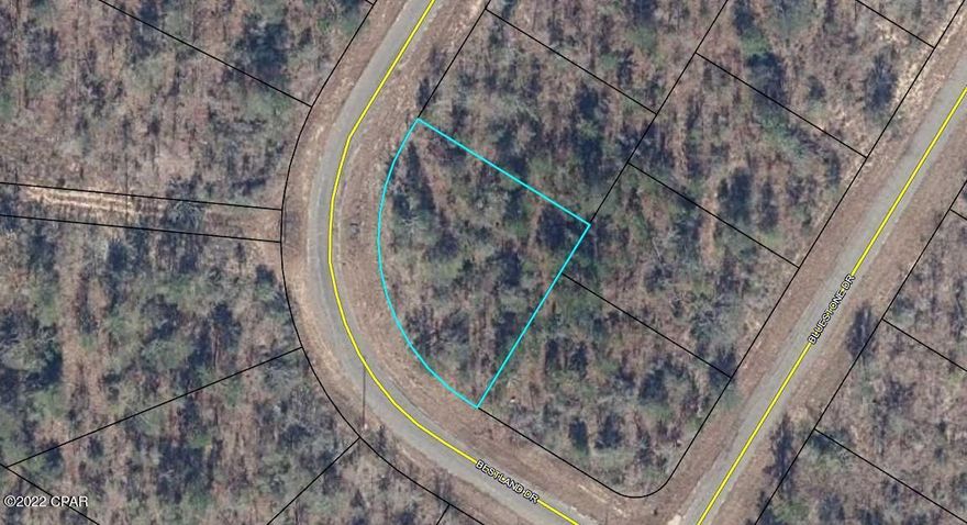 Vacant, wooded .31 acre lot in the Sunny Hills subdivision. (NO HOA fee). No utilities, water, or sewage is currently on the site at this time. Restrictions include 1000 sq ft minimum build and no mobile homes or farm animals allowed. Several lakes in the area for fishing/ swimming.