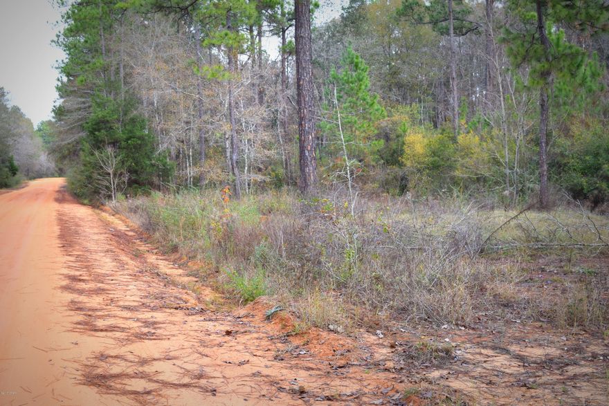 This primarily wooded lot located off Merry Acres Dr would make a great home site. Consisting of more than 2.5 acres this property is conveniently located just outside city limits.