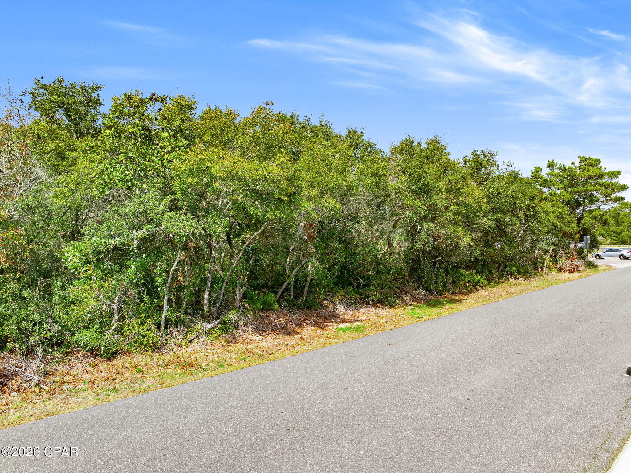 Laguna Beach Estates - Land