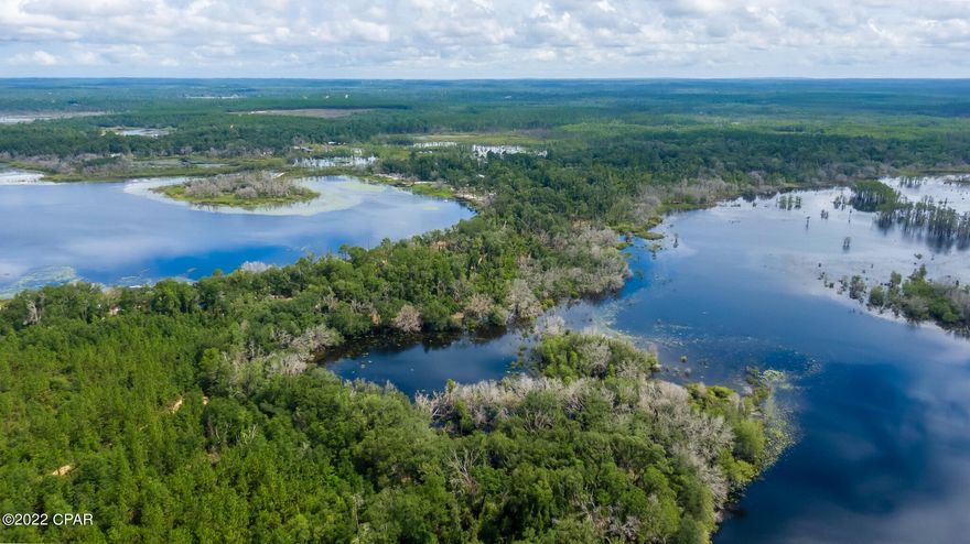This Pristine & Secluded 43-Acre Property was Subdivided into 9 Separate 4.5+ Acre Home Sites. ONLY LOT 8 IS AVAILABLE. All others sold. Attached Property Information Packet Showing Lot 8. With Wages Pond on the West and Hamlin Lake on the East, Buyers Will Have 2-Sided Waterfront Home Sites. Wages Pond Rd has Above and Below Ground Electricity. See Our Drone Video for a Birdseye View! Reminiscent of Old Florida and a Simpler Time, the Property Adjoins the Econfina Wildlife Management Area with Fishing, Hiking, Camping, Canoeing, Boating, Hunting and Horseback Riding. Wages Pond and Hamlin Lake both Offer Fishing Right from Your Own Property. Golfers Enjoy the Nearby Sunny Hills Golf Club Open to the Public Year Around. Our Property is an Isthmus Between Wages Pond & Hamlin Lake. Driving Down Wages Pond, You Immediately Feel a Sense of Calmness and Serenity. For a Weekend Home, Vacation Property or Full-Time Homestead this is a property that Offers a True Retreat Nestled in a Sportsman's Paradise. This Property is Best Suited for Those Wanting a More Off-the-Grid Experience. Zoned Single Family Only. Well and Septic Tank will be required.