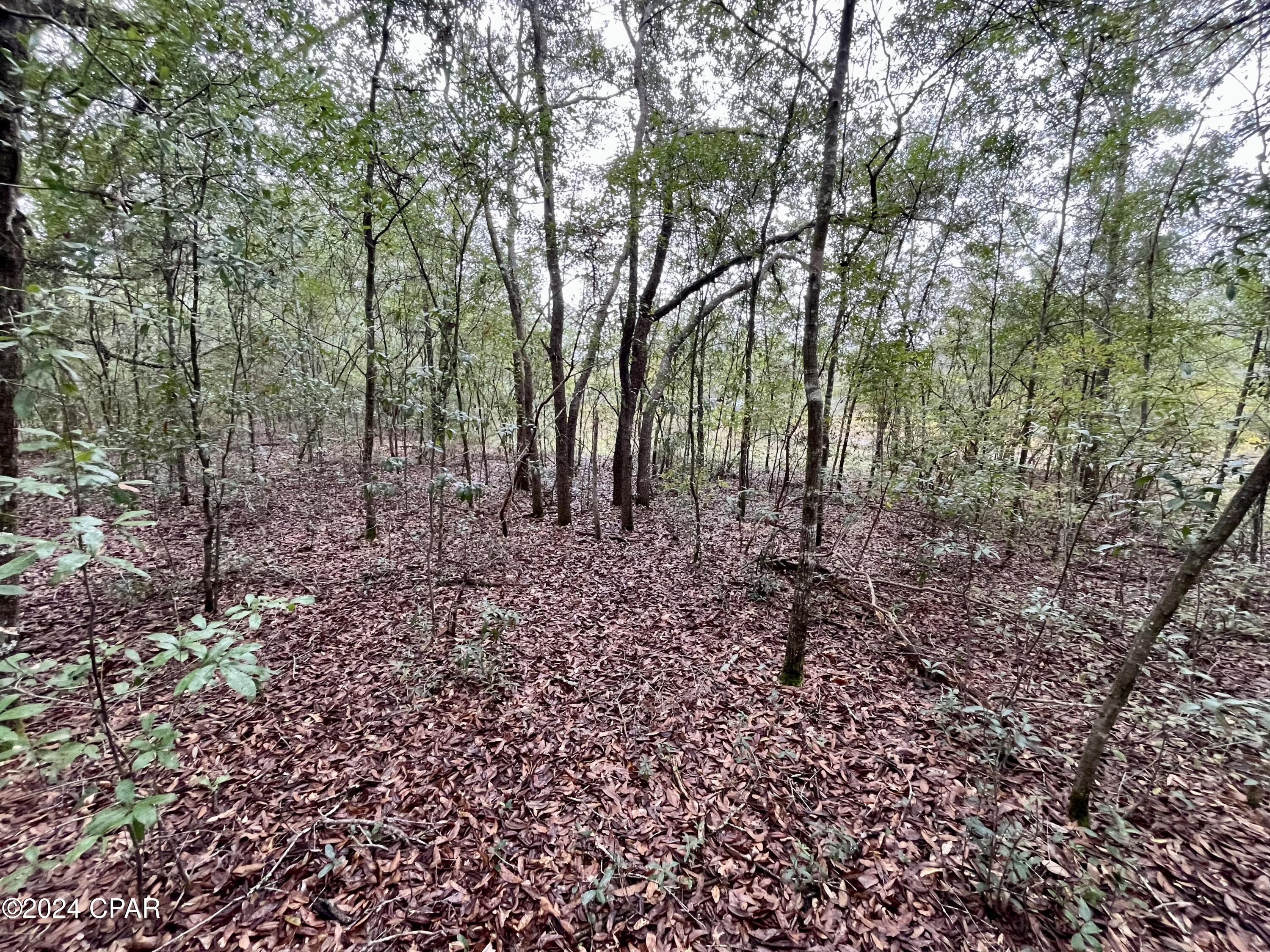 Sunny Hills Unit 1 - Land