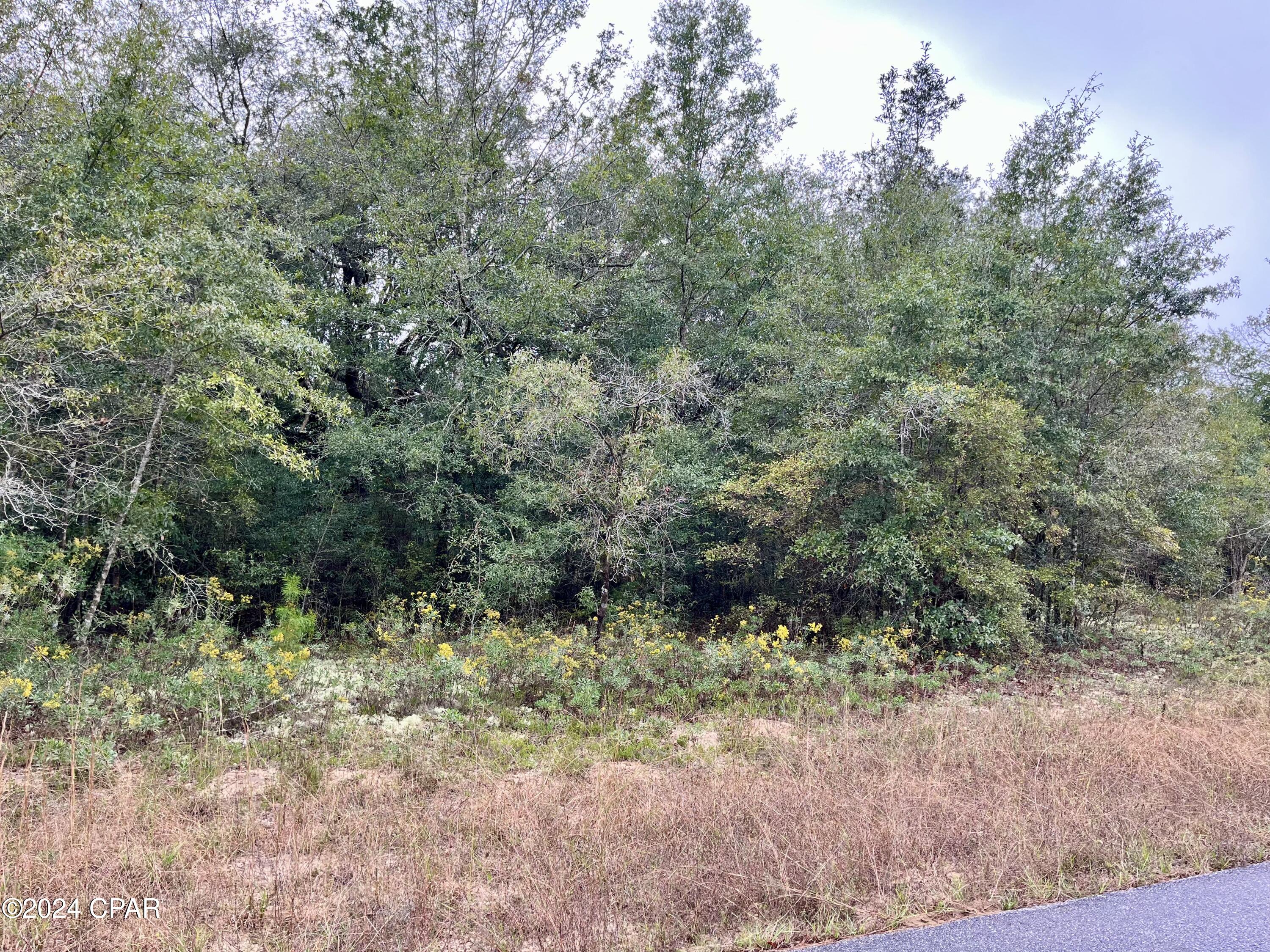 Sunny Hills Unit 1 - Land