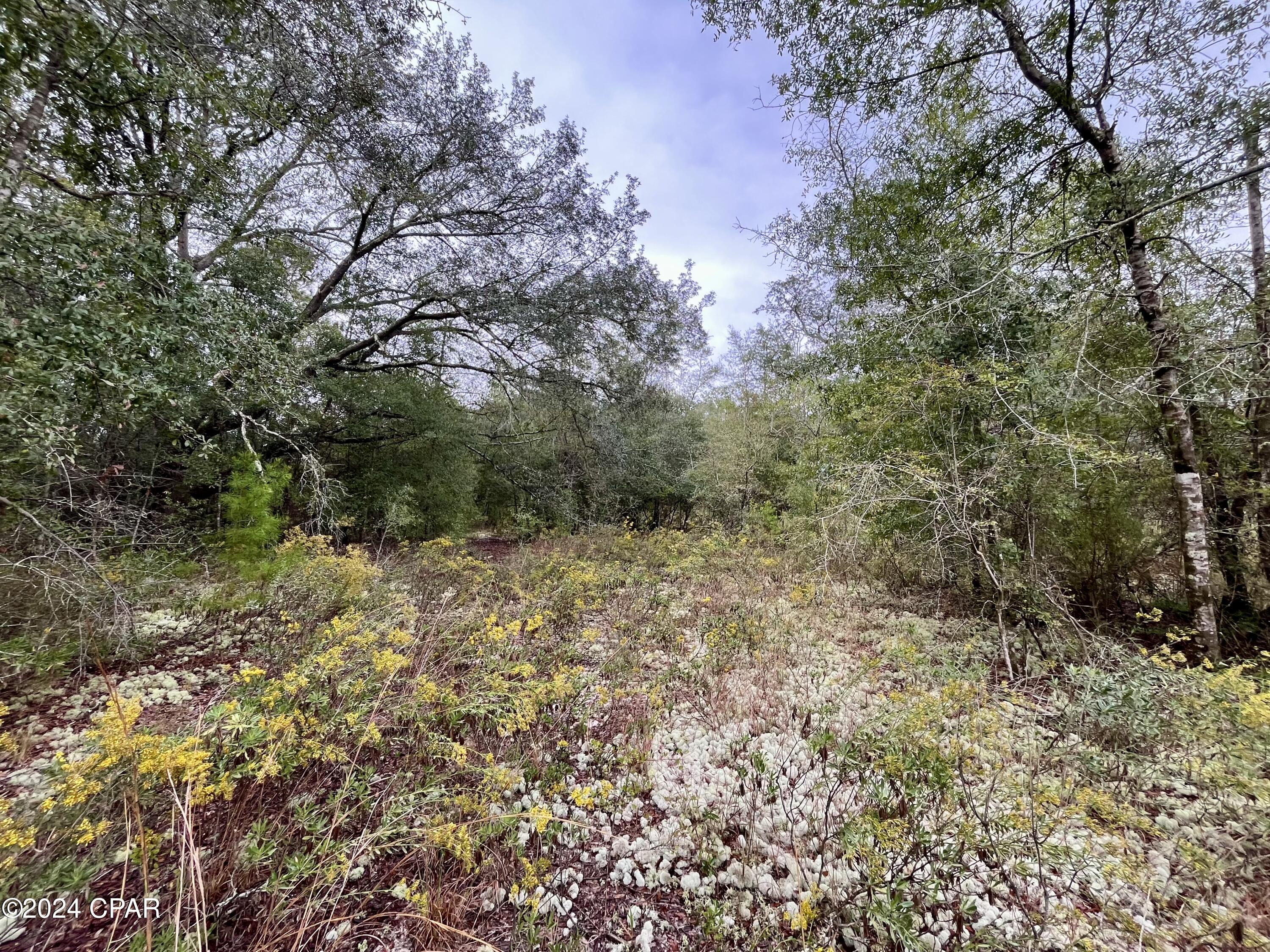 Sunny Hills Unit 1 - Land