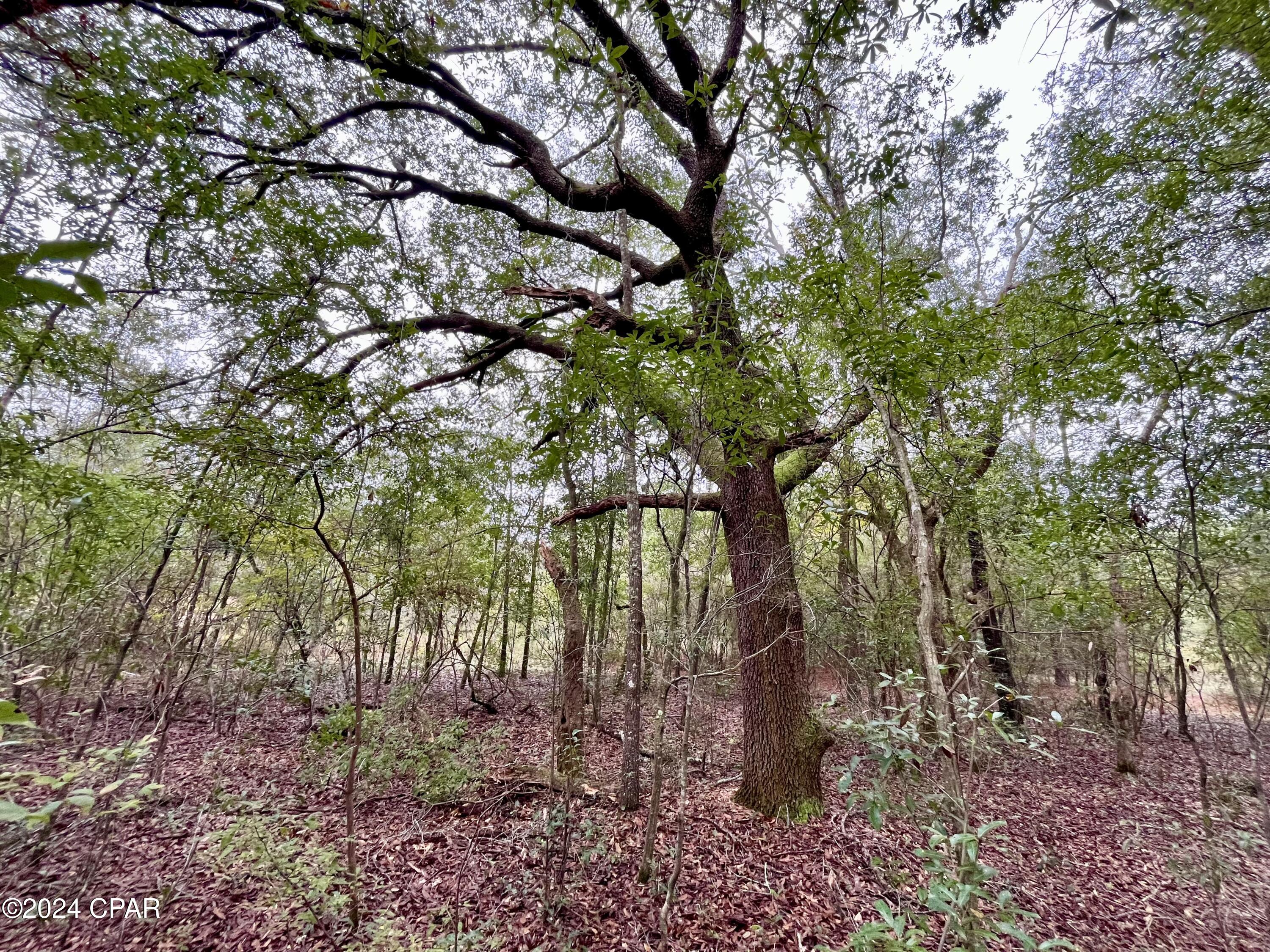 Sunny Hills Unit 1 - Land