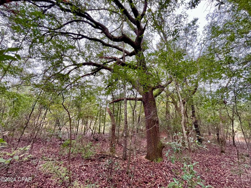 Build your dream home on this beautiful lot located in the peaceful and scenic Sunny Hills community. This lot is located a short drive from Boat Lake and Highway 77. It features beautiful Oak trees, is fairly level, and has a nice paved road access. Behind the property is Deltona green space with a little pond. For nature lovers and outdoor enthusiasts, Gap Lake has great fishing and is not too far away either, it is an 800+ acre freshwater paradise. Enjoy serene views of majestic cypress trees and experience excellent fishing opportunities right in your neighborhood. Additionally, a county boat ramp on Gap Lake makes for easy access to all your water adventures. Sunny Hills is a growing golf course community with a lot of new construction happening. It's ideally situated just under 30 minutes from both Chipley, Lynn Haven, and the airport- offering the best of both worlds: a slower, laid-back lifestyle while still being close to city amenities. Plus, you're less than an hour away from the white sands of Panama City Beach! Sunny Hills also offers many freshwater lakes for fishing and boating and also a swim park at spring-fed Boat Lake for seasonal fun. This deed-restricted lot is reserved for building only, ensuring a well-maintained community without the burden of HOA fees. Enjoy the tranquility and convenience of life in Sunny Hills! Buyer to do their own due diligence about getting utilities on the property. Buyer to pay for title fees/title policy.