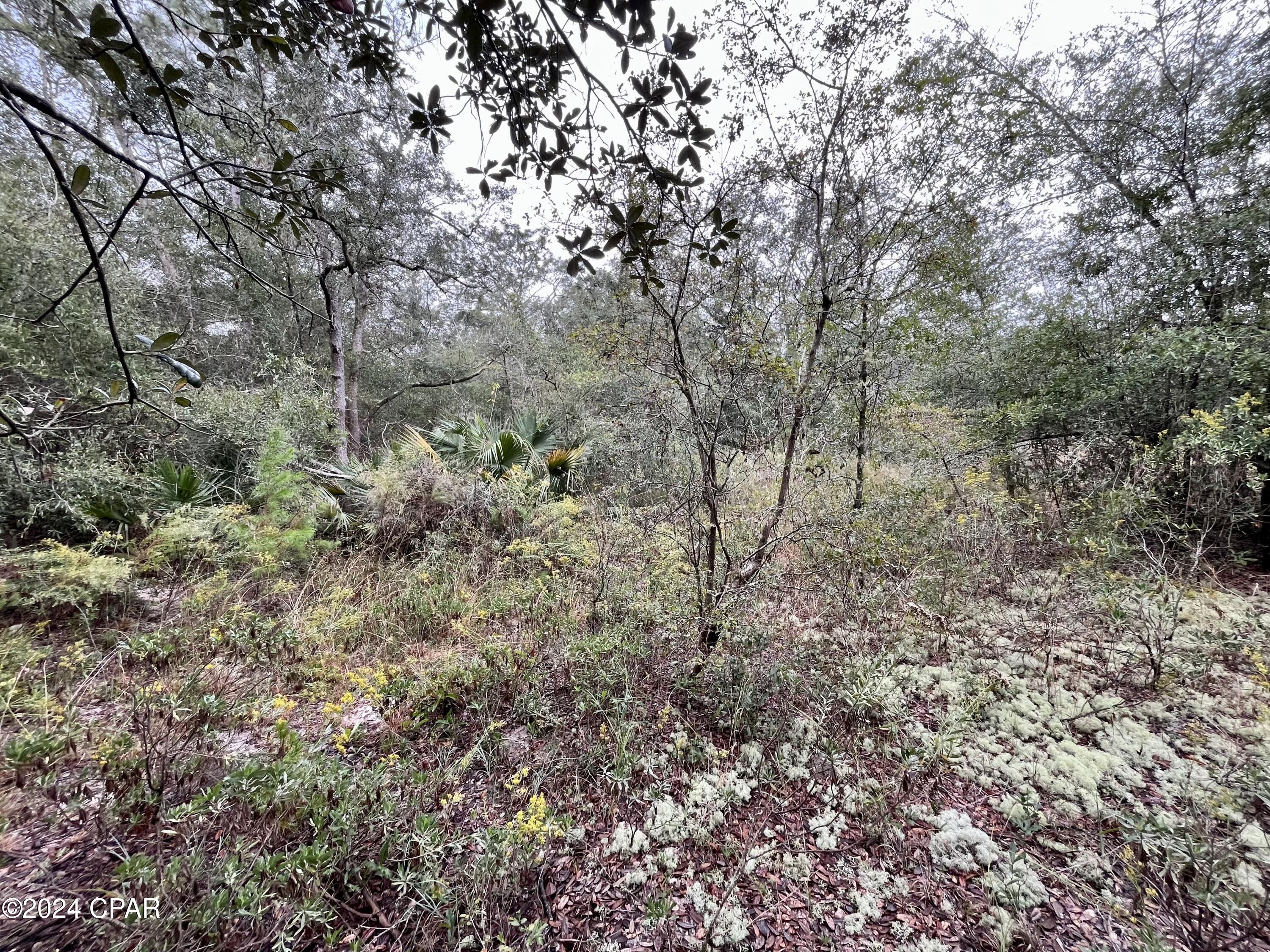 Sunny Hills Unit 1 - Land