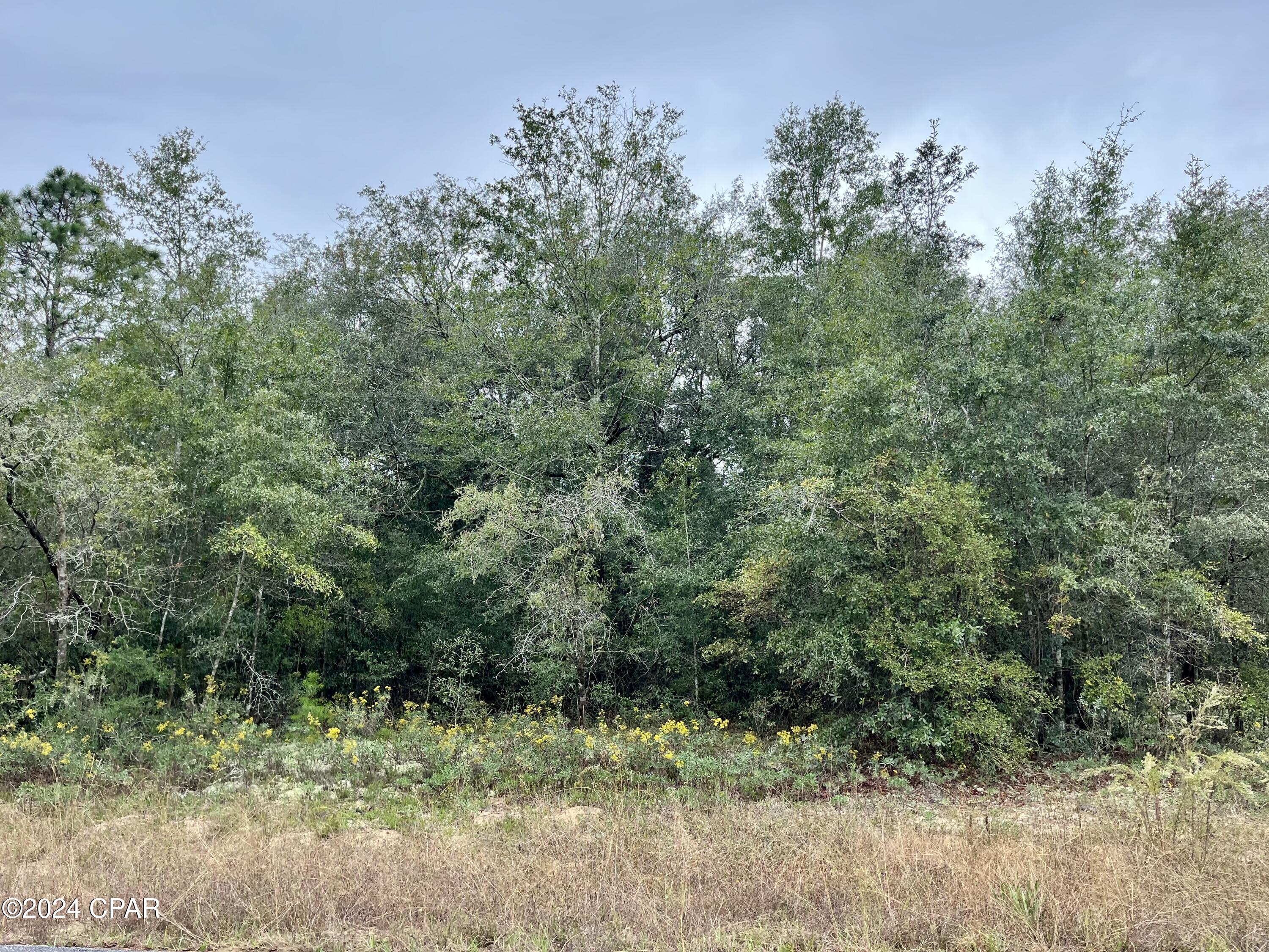 Sunny Hills Unit 1 - Land